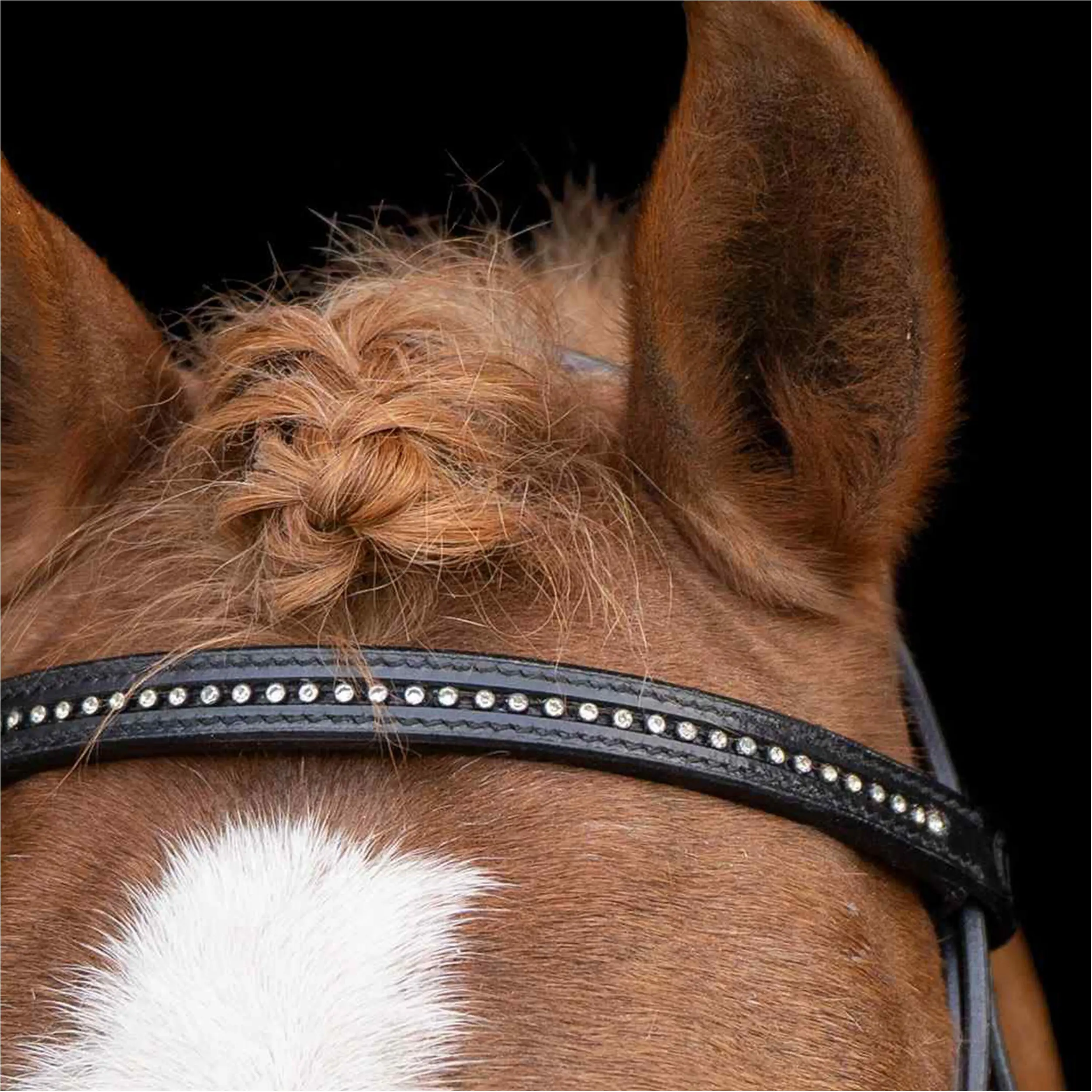 Trensenzaum IRHStormy schwarz/crystal