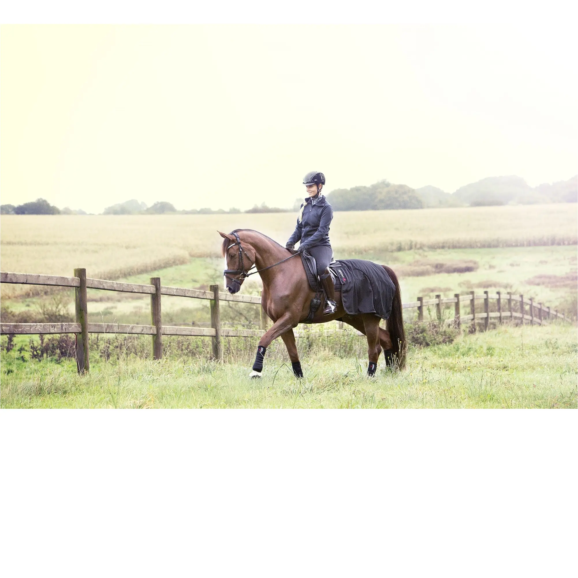 Nierendecke FIR-Tech blau Nierendecke FIR-Tech blau