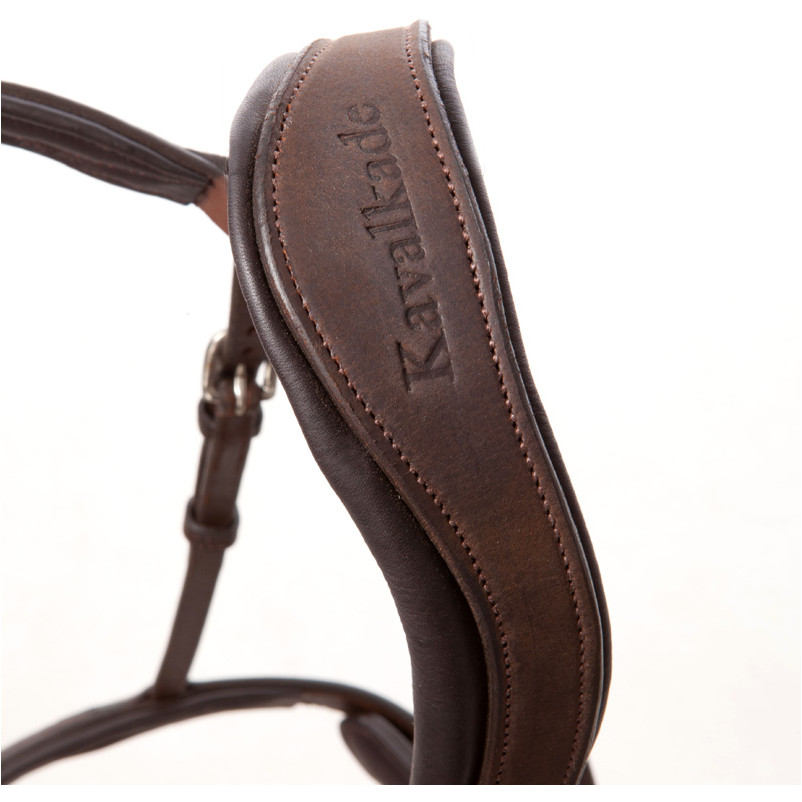 Trensenzaum englisch kombiniert EVERYDAY Leder geölt braun