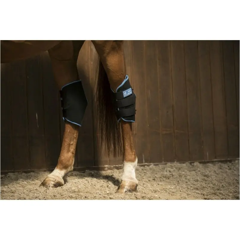 Sprunggelenkschutz ICE BOOTS schwarz/blau