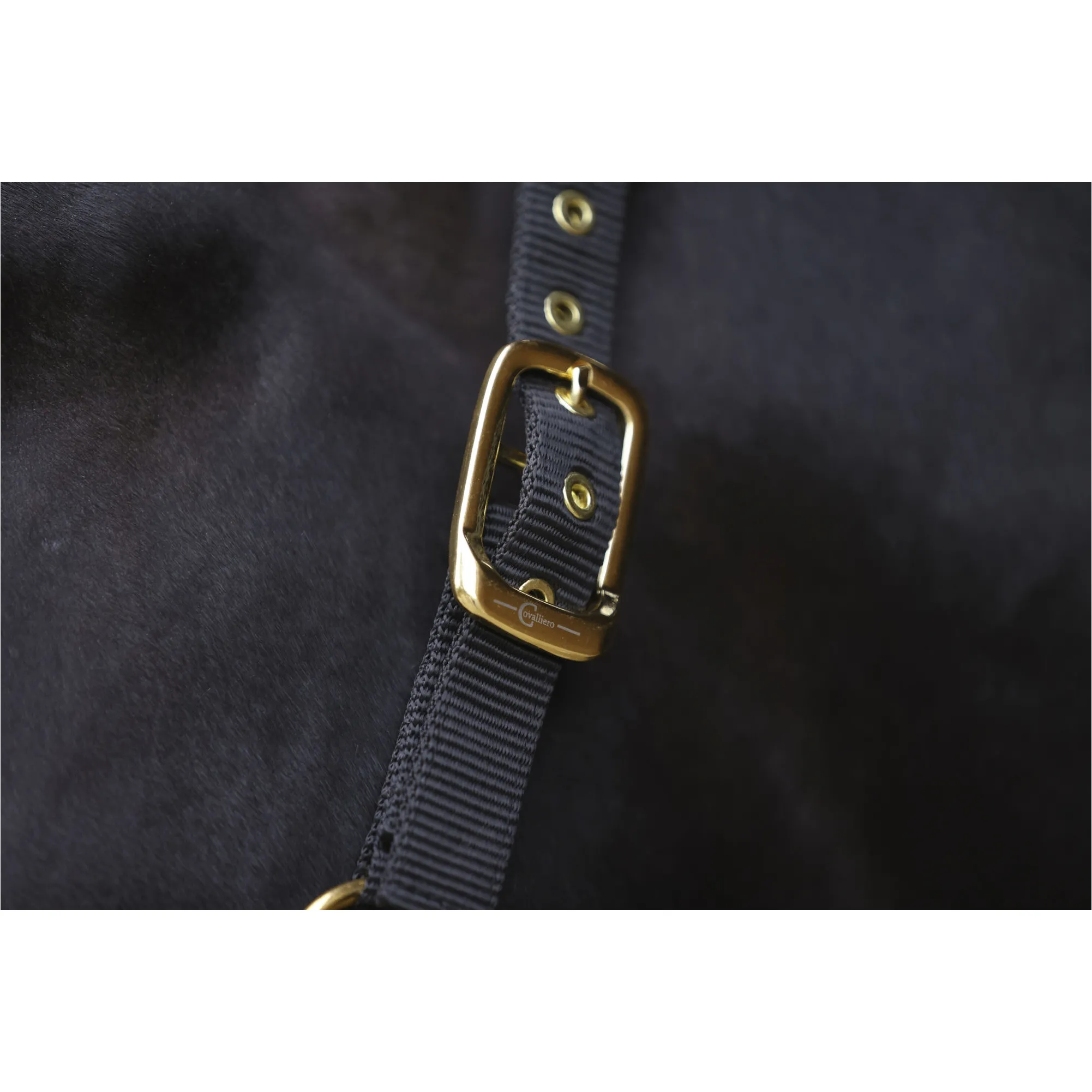 Halfter TOPLINE black