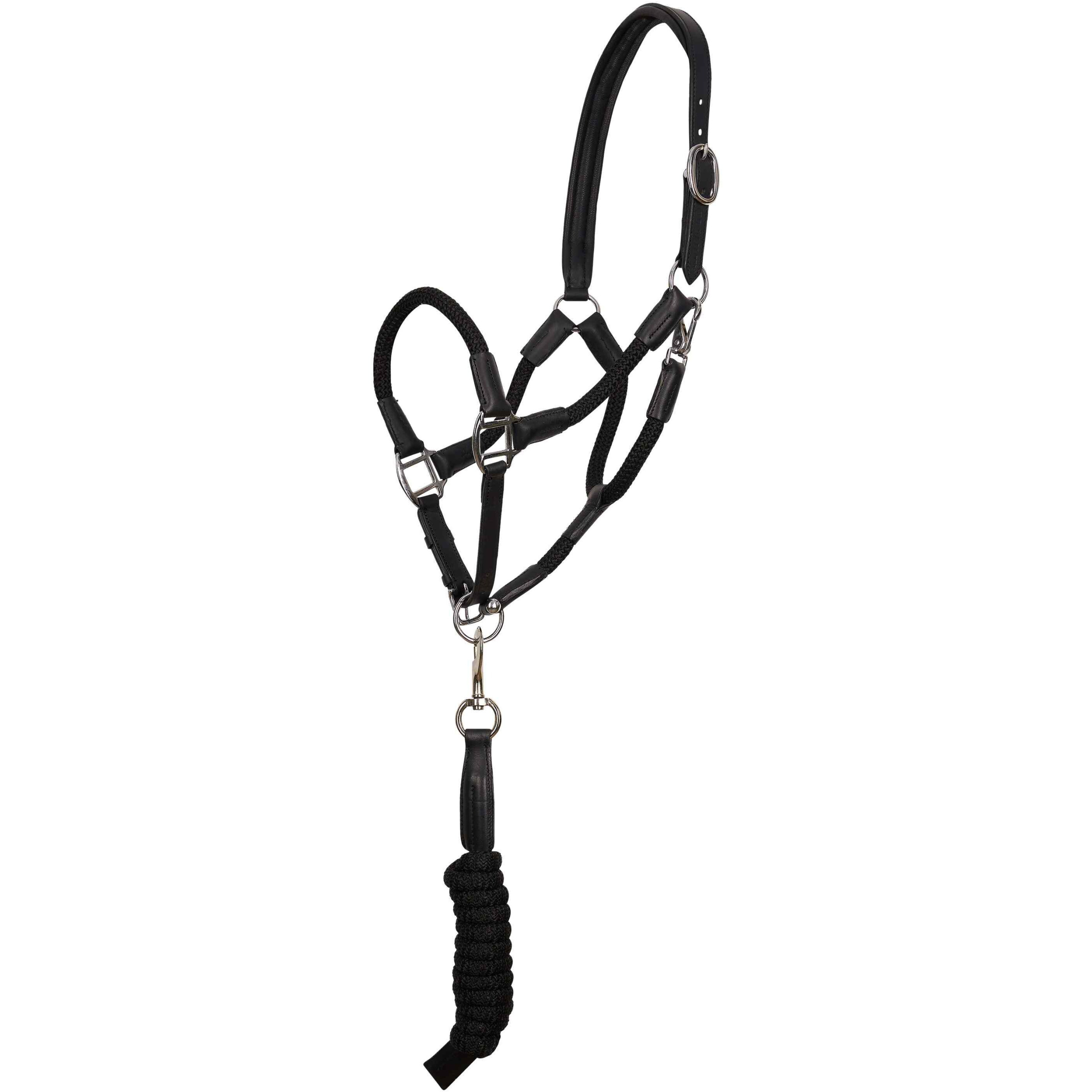 Halfter und Strick HVPFranka schwarz