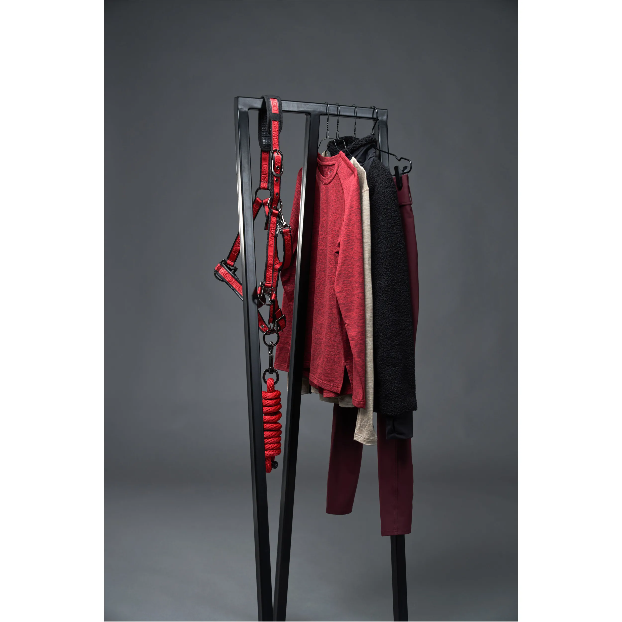 Damen Funktionsshirt Langarm AUDREY jester red