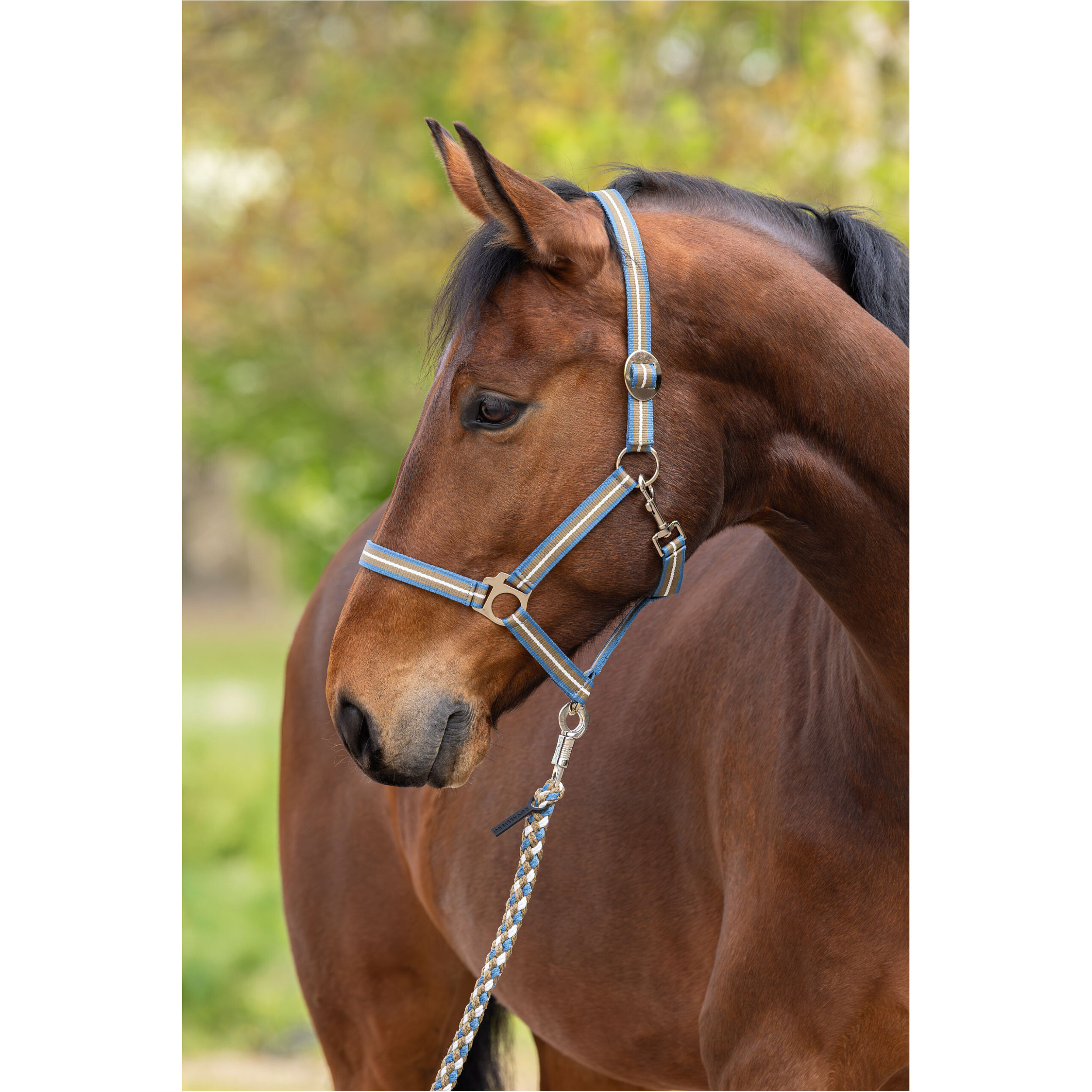 Halfter HIPPO F/S 2026 smoked blue/walnut