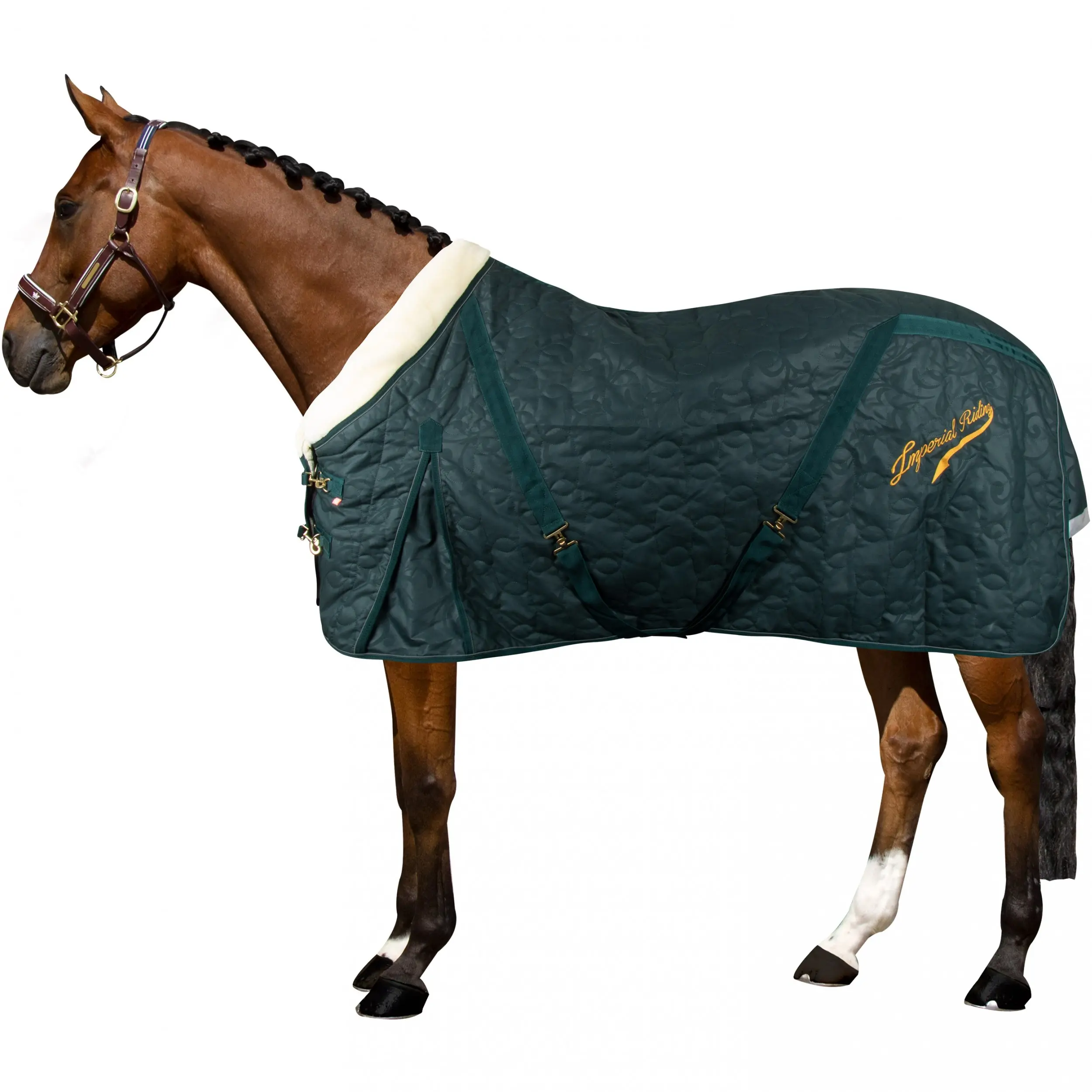 Stalldecke 100g Füllung IRHSuper-dry forest green