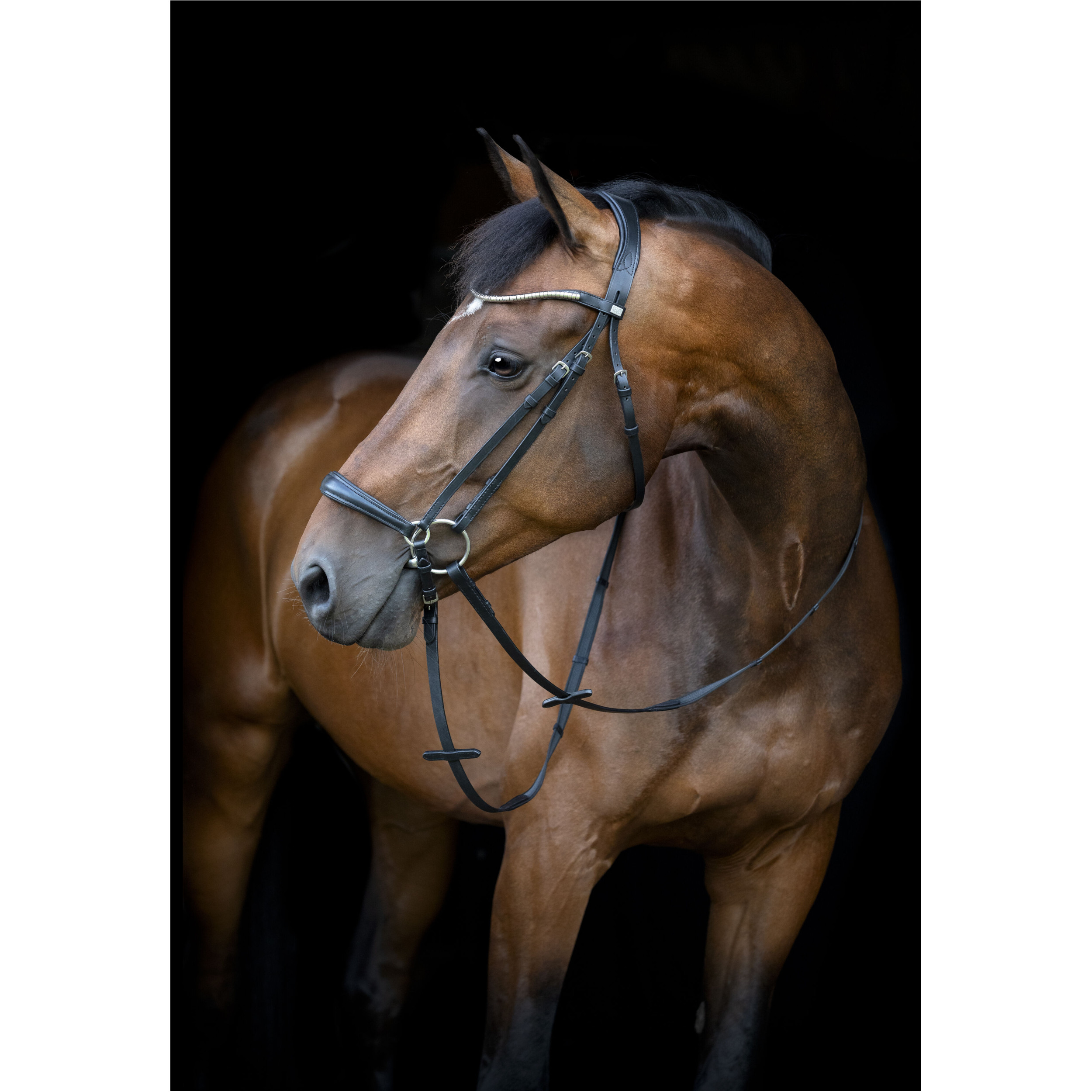 Trensenzaum hannoveranisch CRYLL 26.1 schwarz