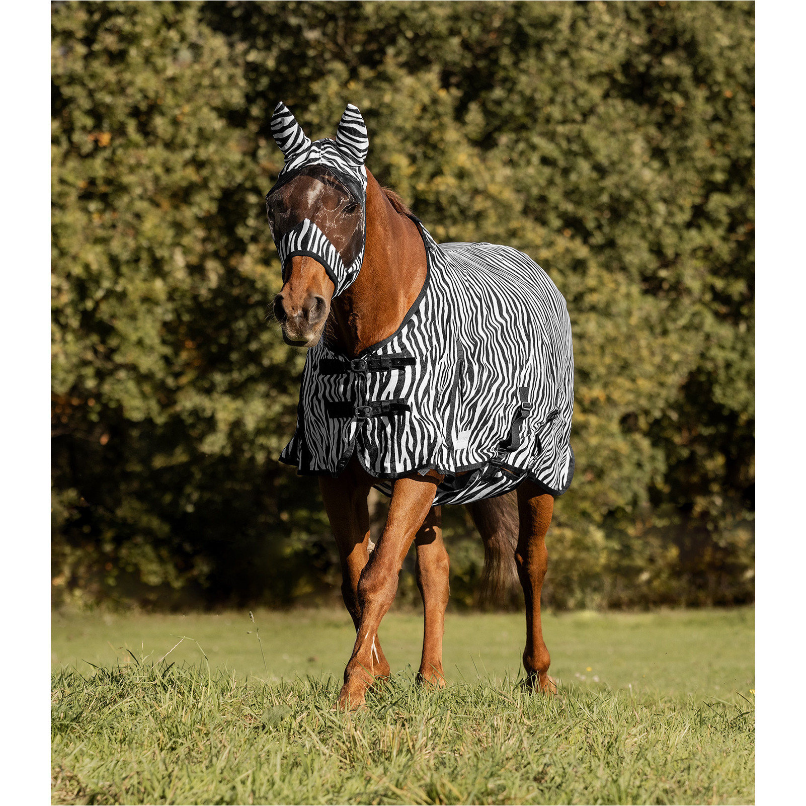 Fliegendecke ZEBRA schwarz/weiß