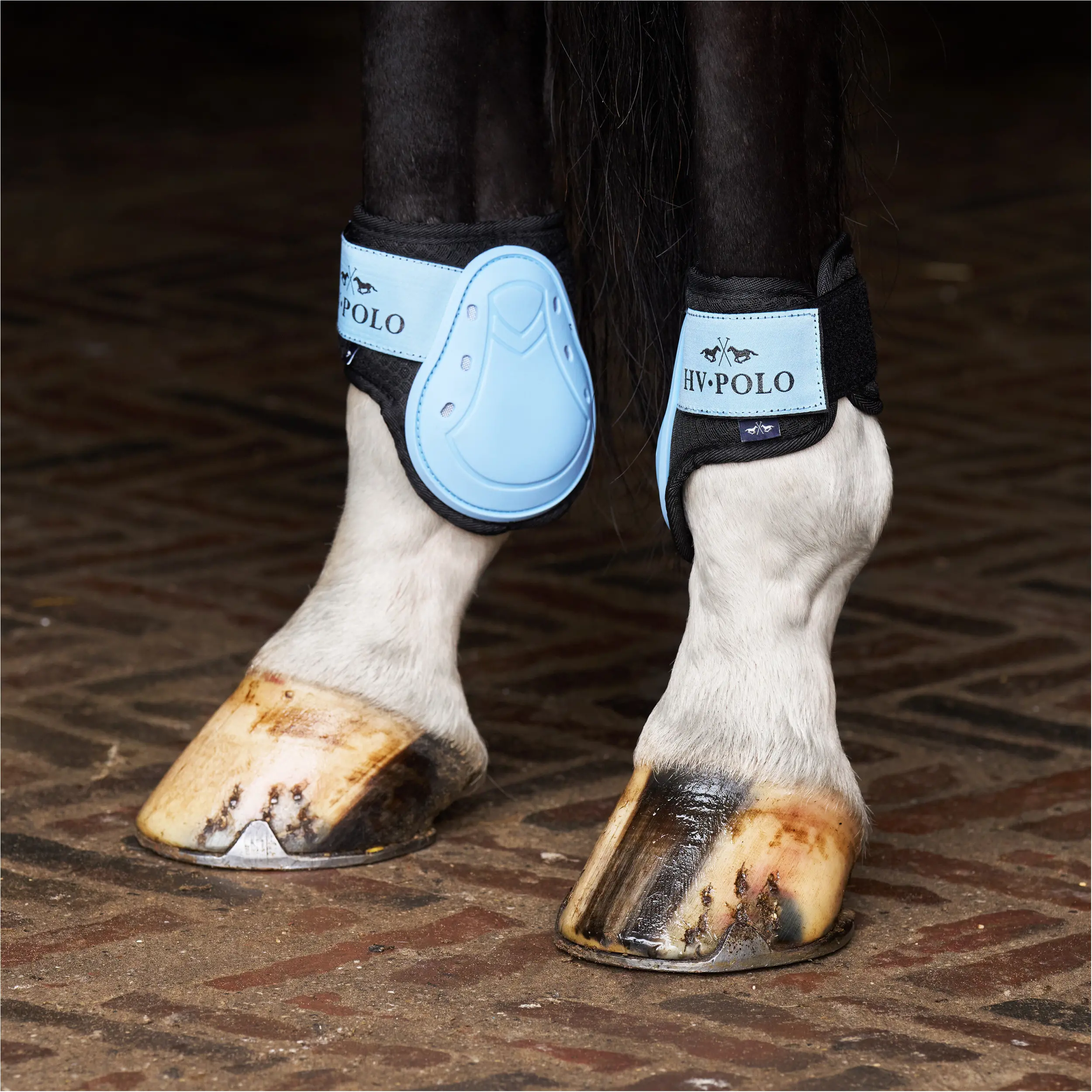 Gamaschen & Streichkappen (4er Set) HVPClassic powder blau