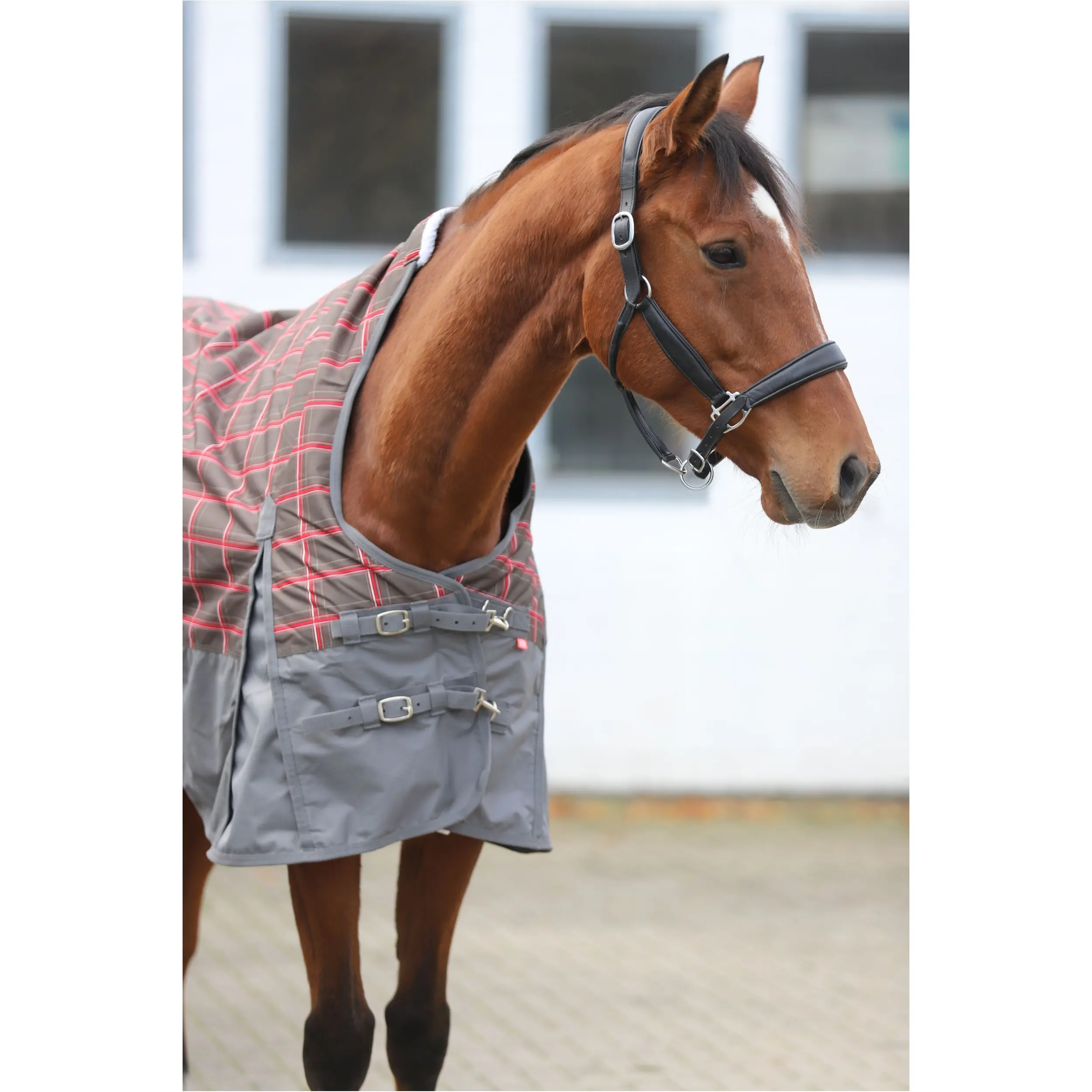 Outdoordecke High Neck 600D mit Polarfleecefutter IRHCustomized grey check/grey
