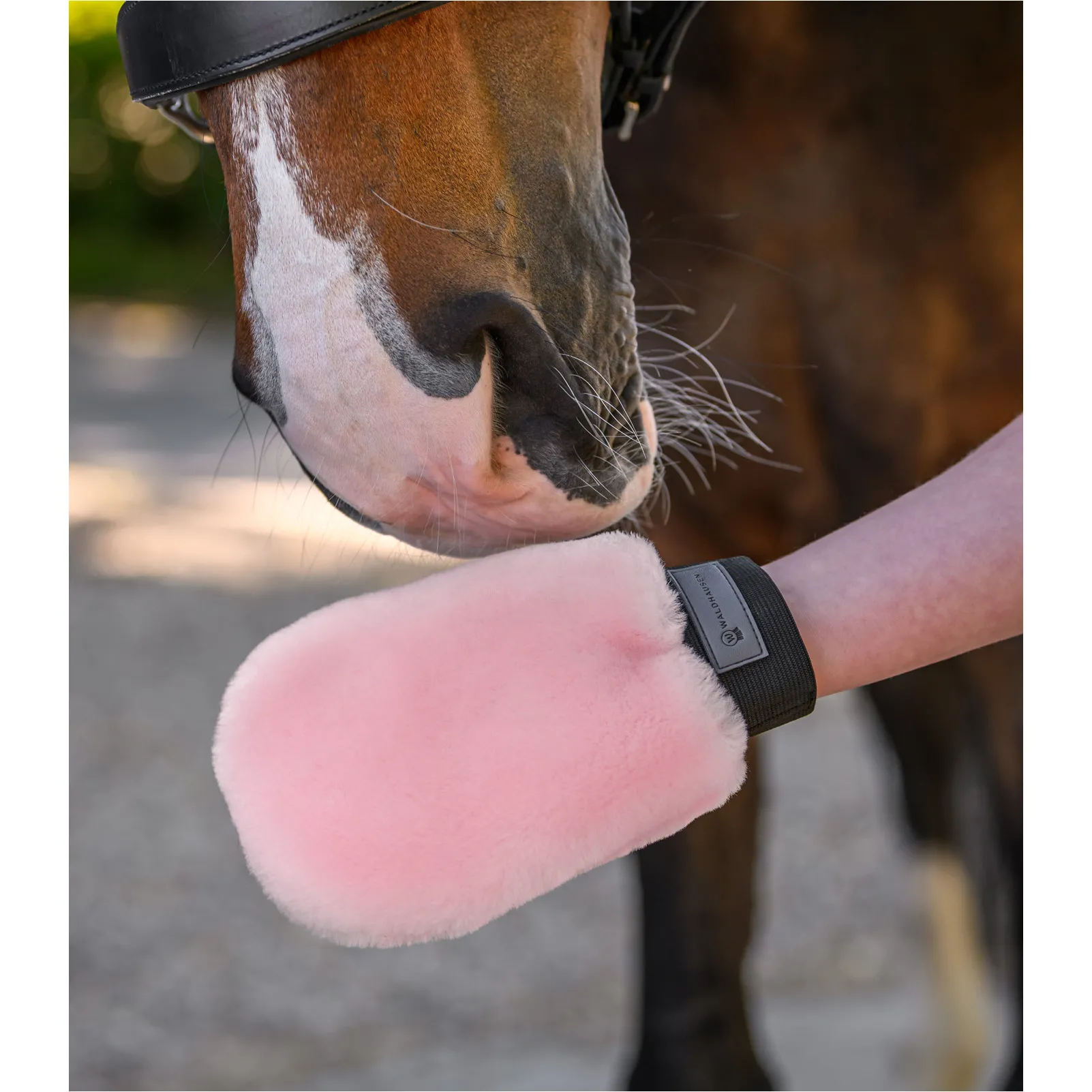 Kinder Lammfellputzhandschuh LUCKY rosa