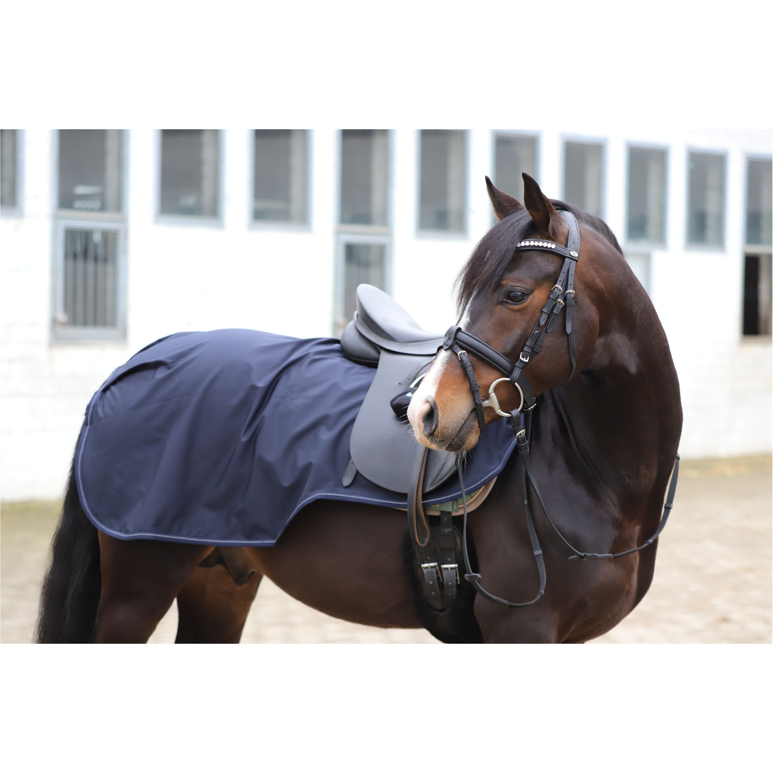 Ausreitdecke EXCLUSIVE dark navy