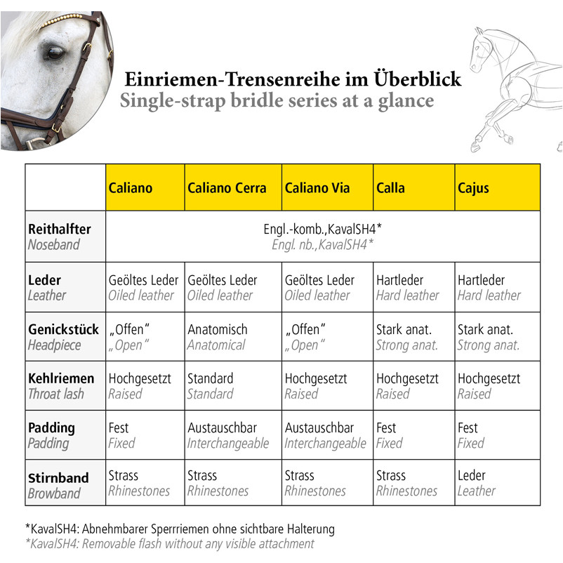 Trensenzaum englisch kombiniert CAJUS schwarz