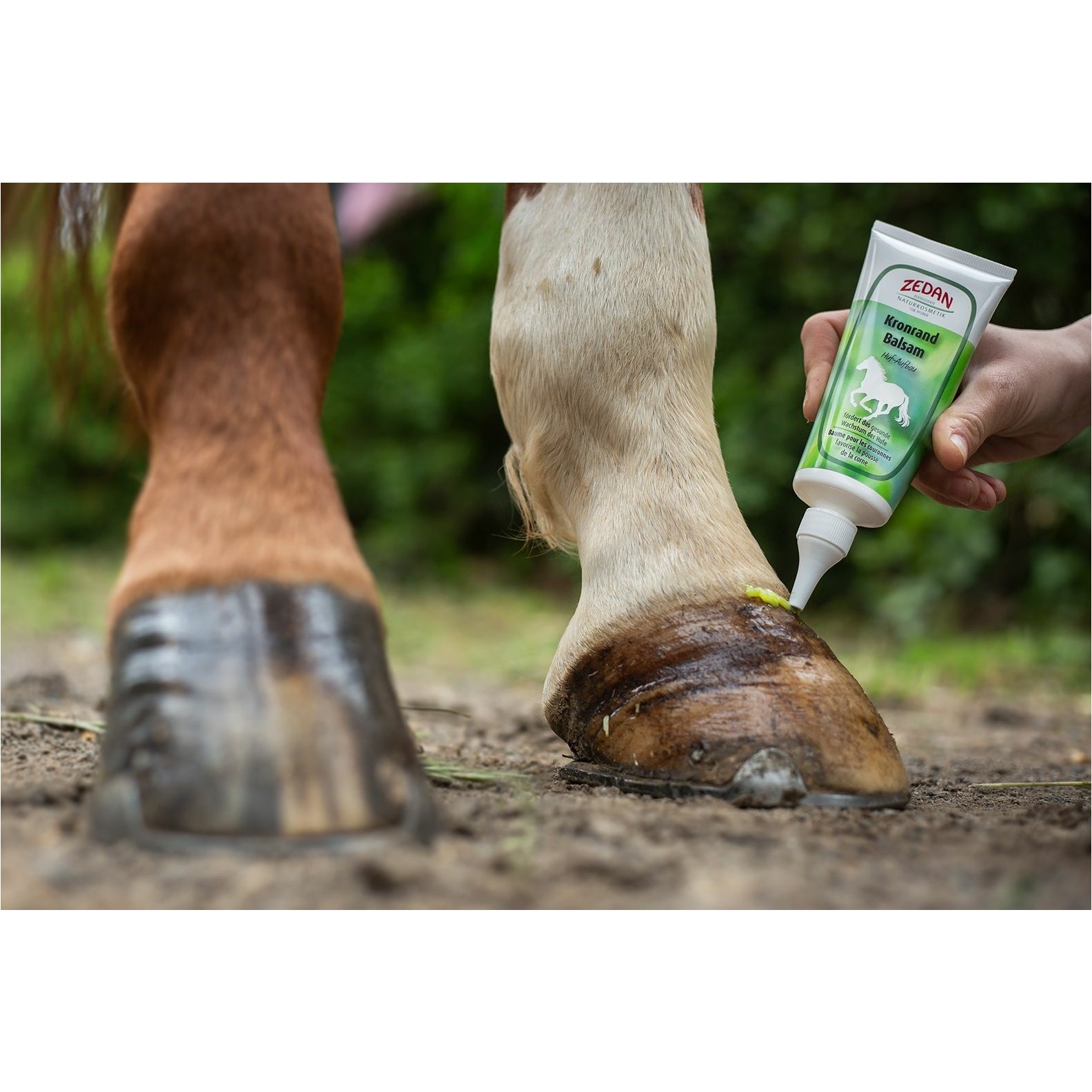 Kronrand Balsam Huf-Aufbau 100ml Tube