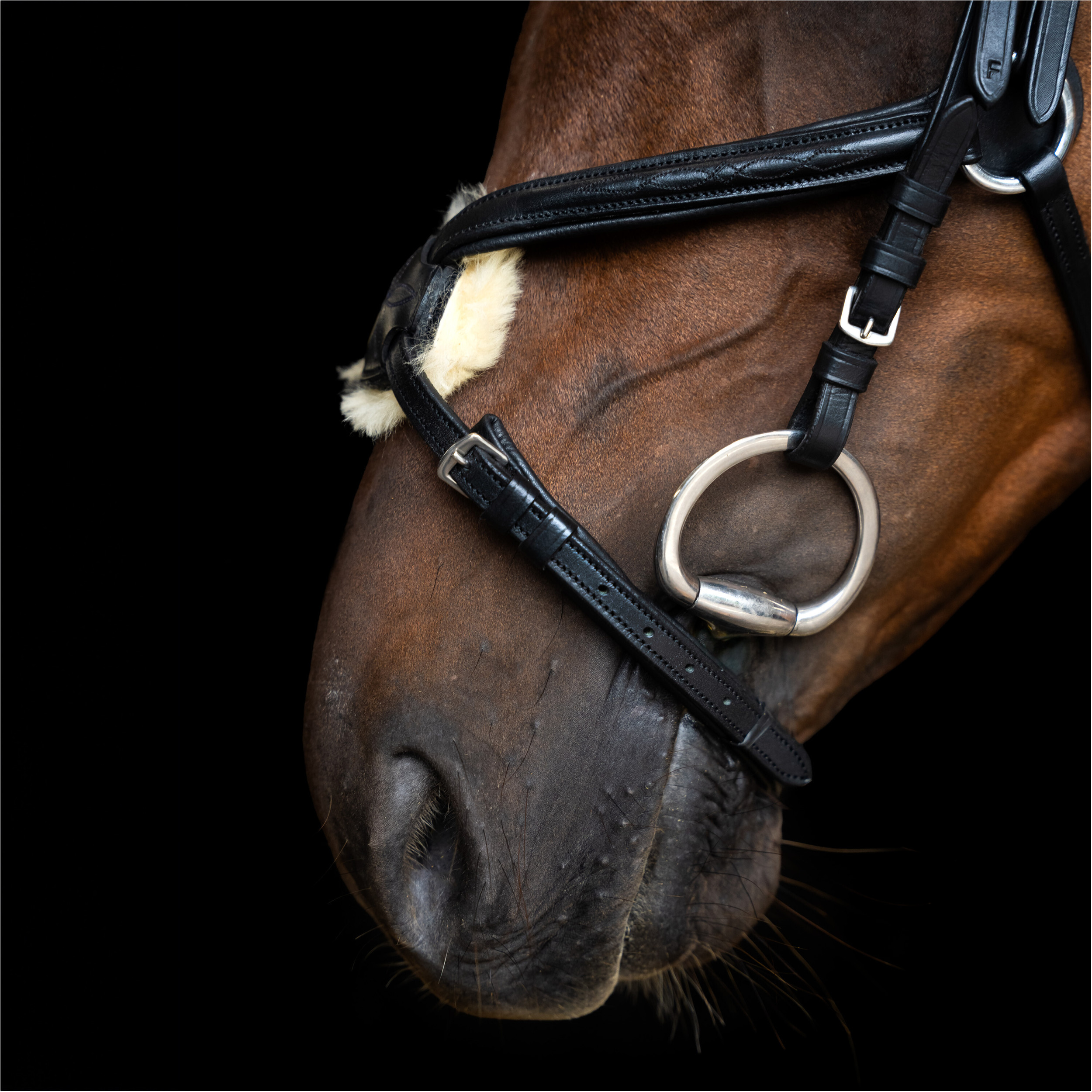 Mexikanisches Zaumzeug IRH schwarz