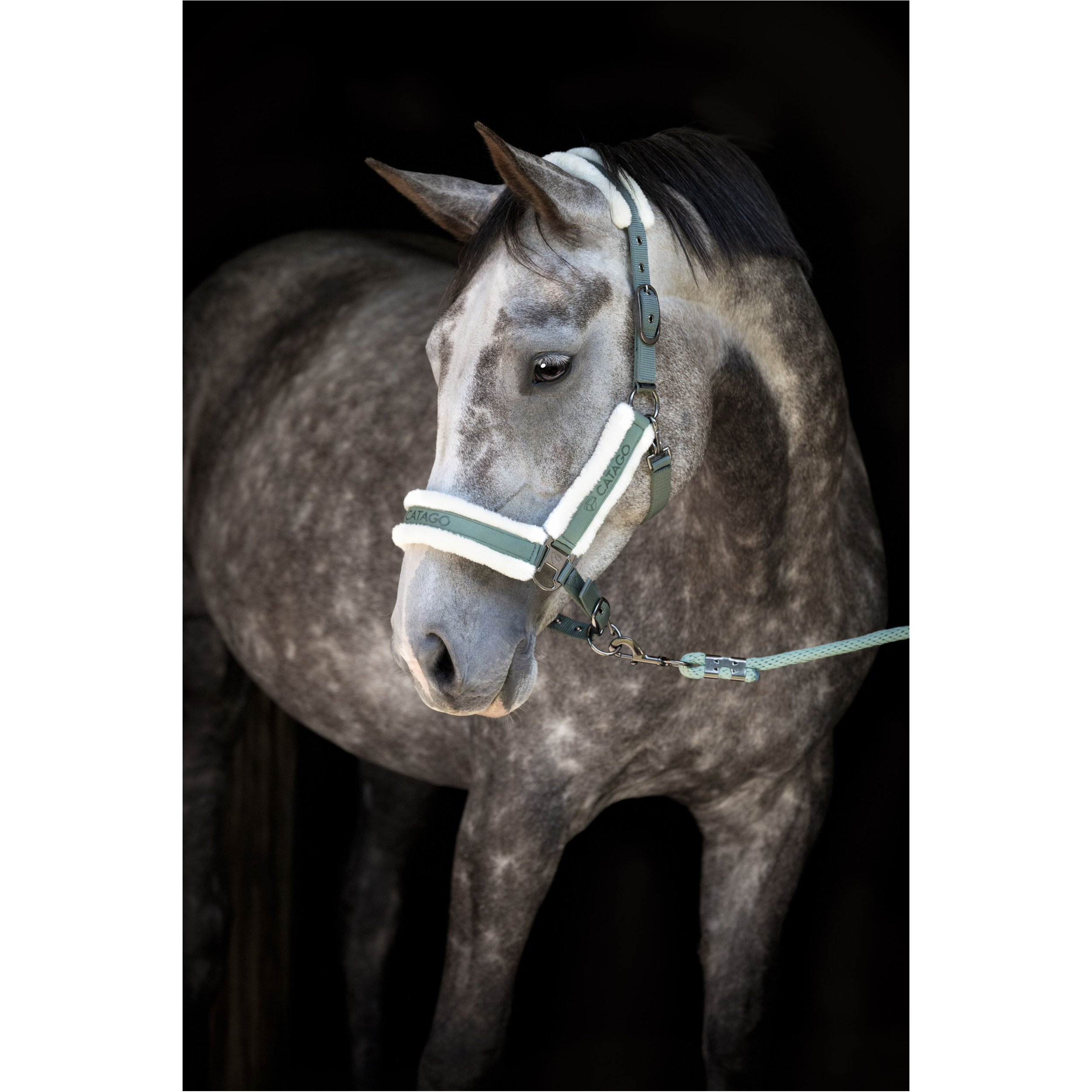 Halfter LOGI laurel wreath