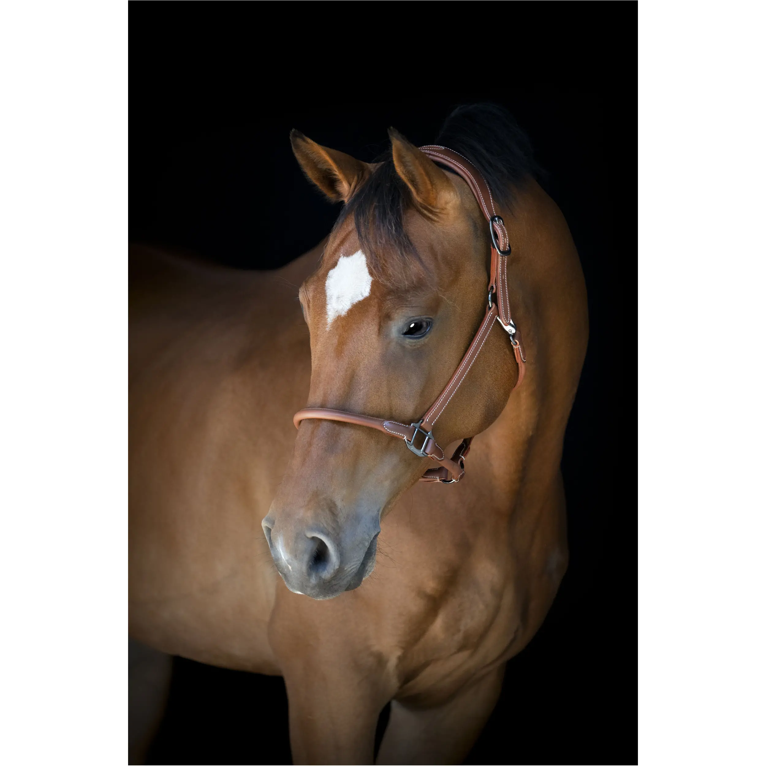 Lederhalfter cognac