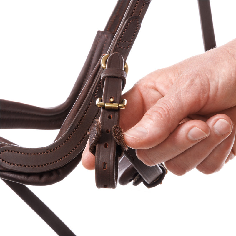 Trensenzaum englisch kombiniert CALIANO Leder geölt braun/messing