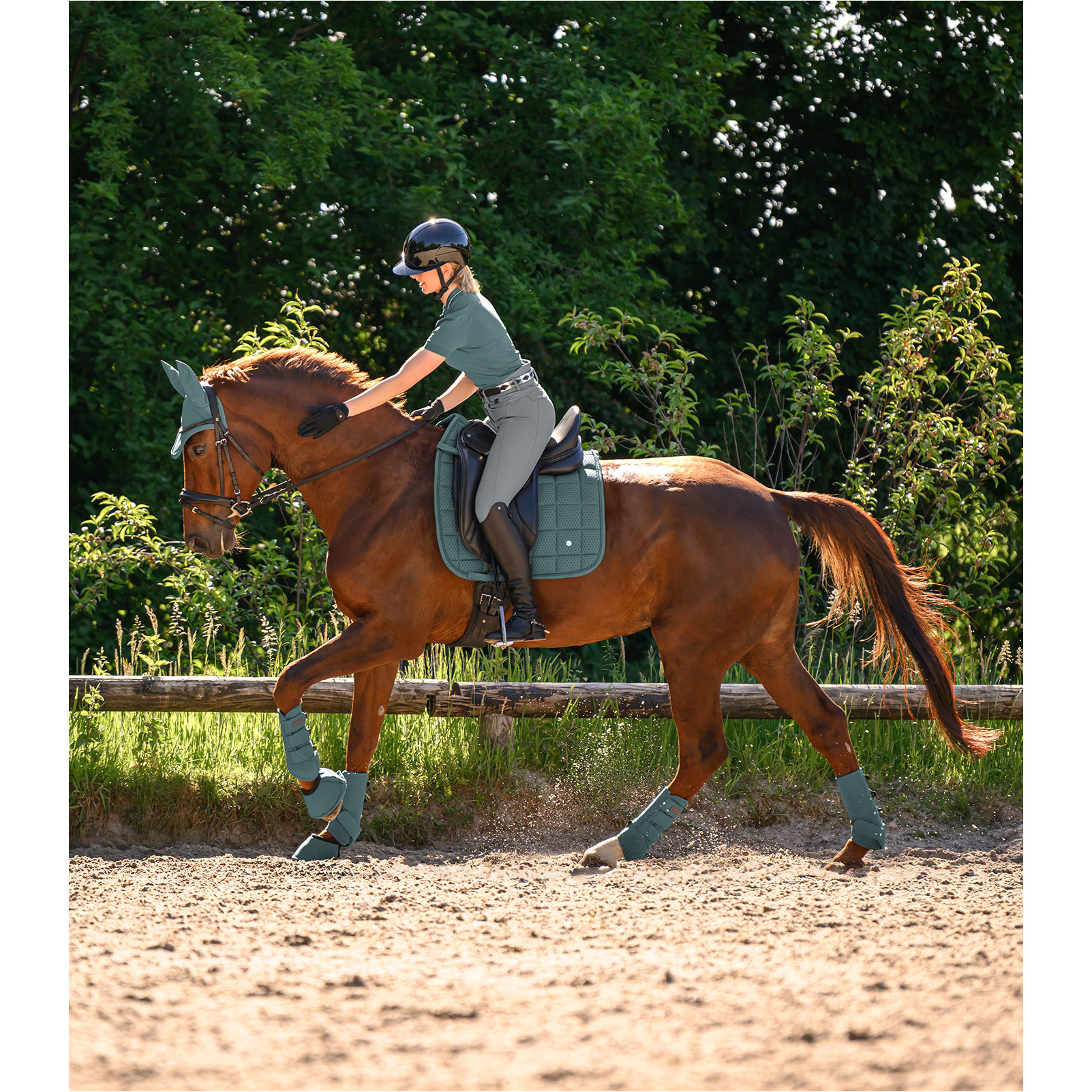 Fliegenohren PERFORMANCE piniengrün Warmblut Fliegenohren PERFORMANCE piniengrün Warmblut