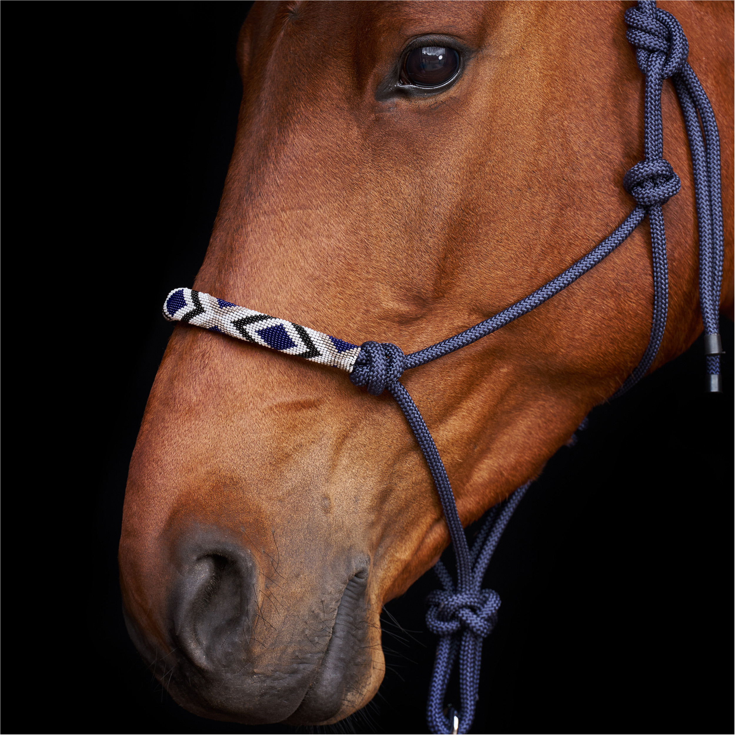 Halfter HVPLamu navy