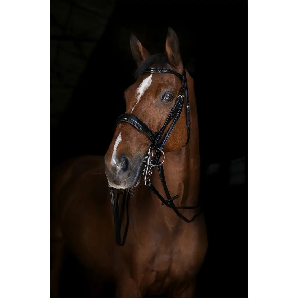 Kandarenzügel Elite Leder schwarz 13mm
