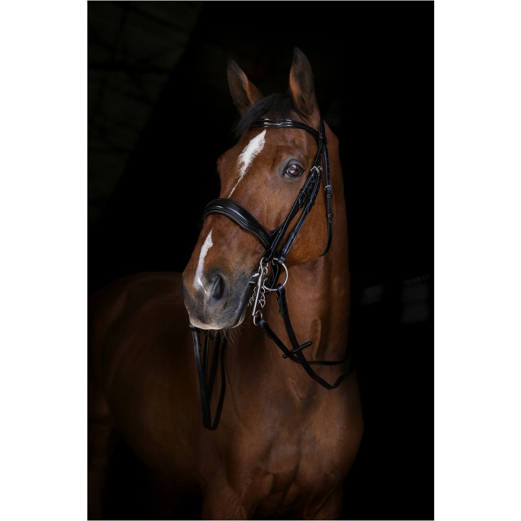 Kandarenzügel Elite Leder schwarz 13mm