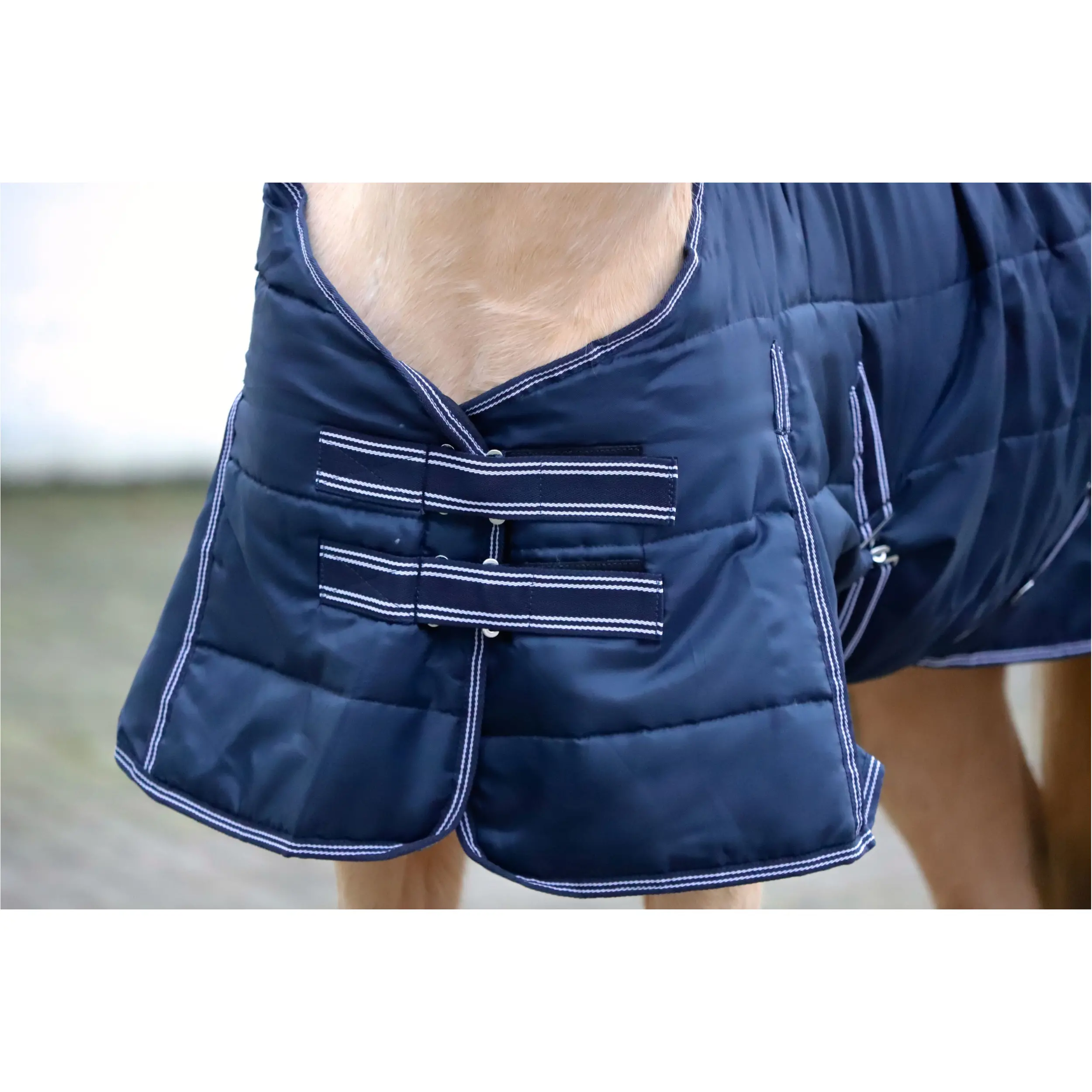 Stalldecke 200g Füllung 420D COMFORT marine Stalldecke 200g Füllung 420D COMFORT marine