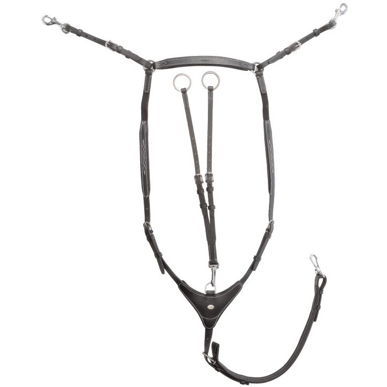 Vorderzeug hoch mit Elast DEXTER schwarz Vorderzeug hoch mit Elast DEXTER schwarz