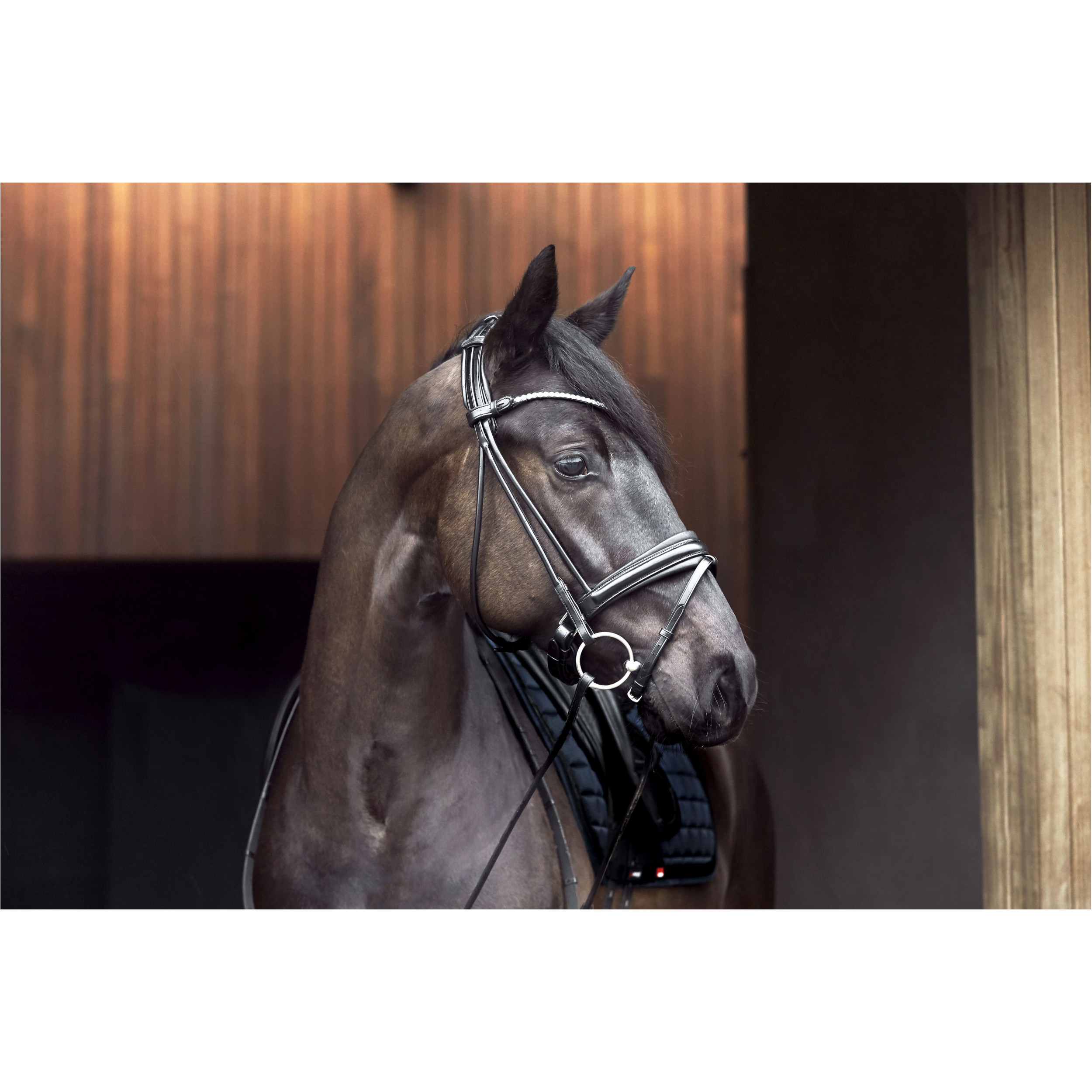 Schabracke FIR-Tech navy