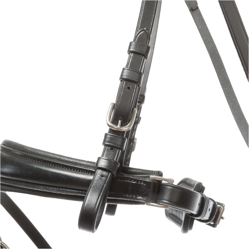 Trensenzaum mit schwedischen Reithalfter AYANA schwarz