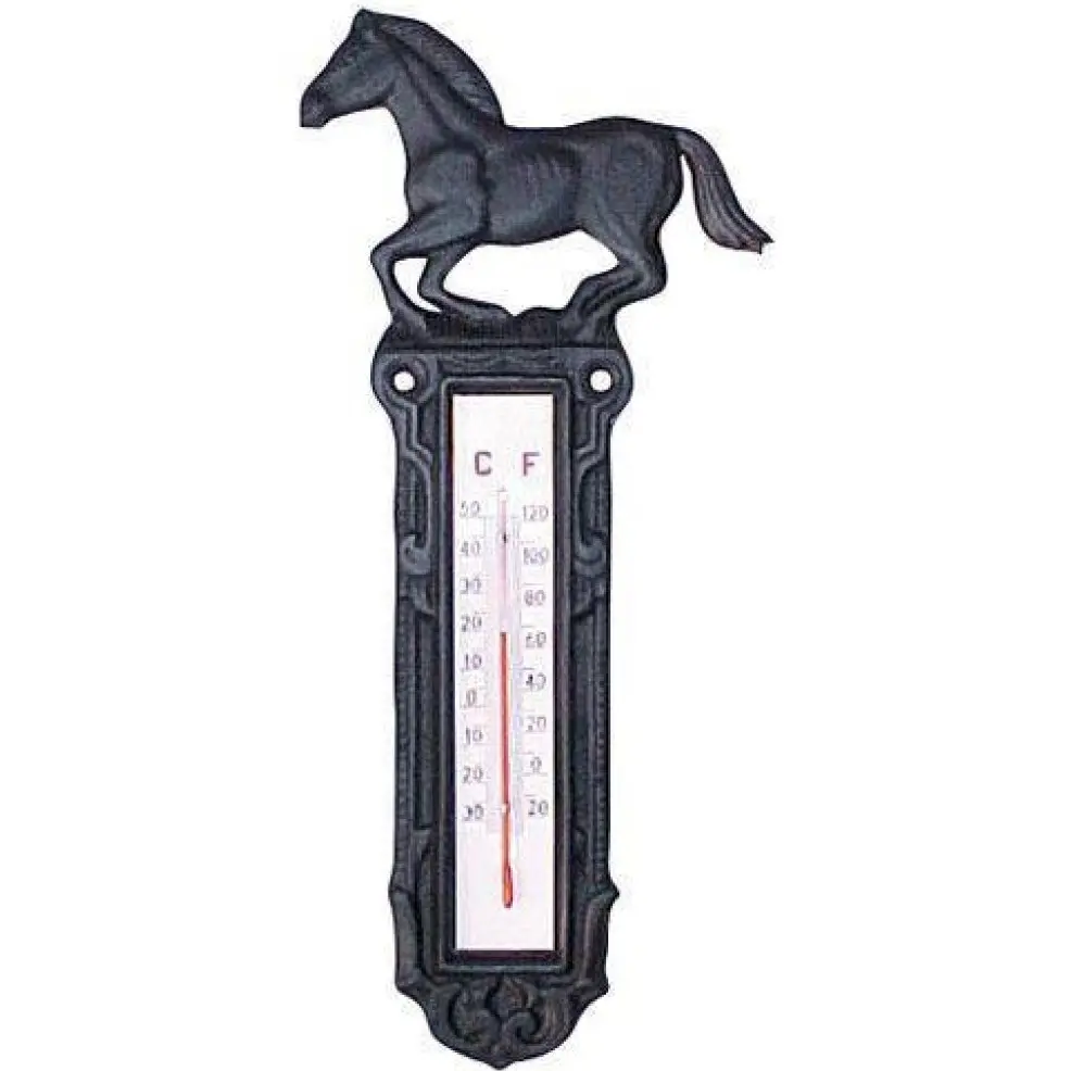 Thermometer aus Gusseisen groß