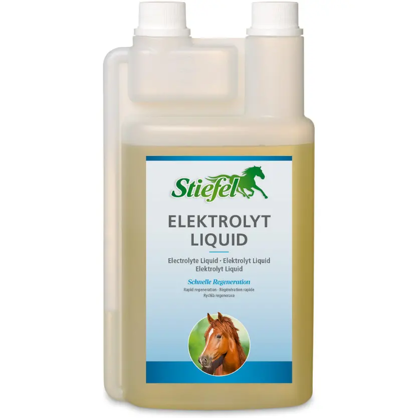 Elektrolyt Liquid zur schnellen Regeneration 1000ml