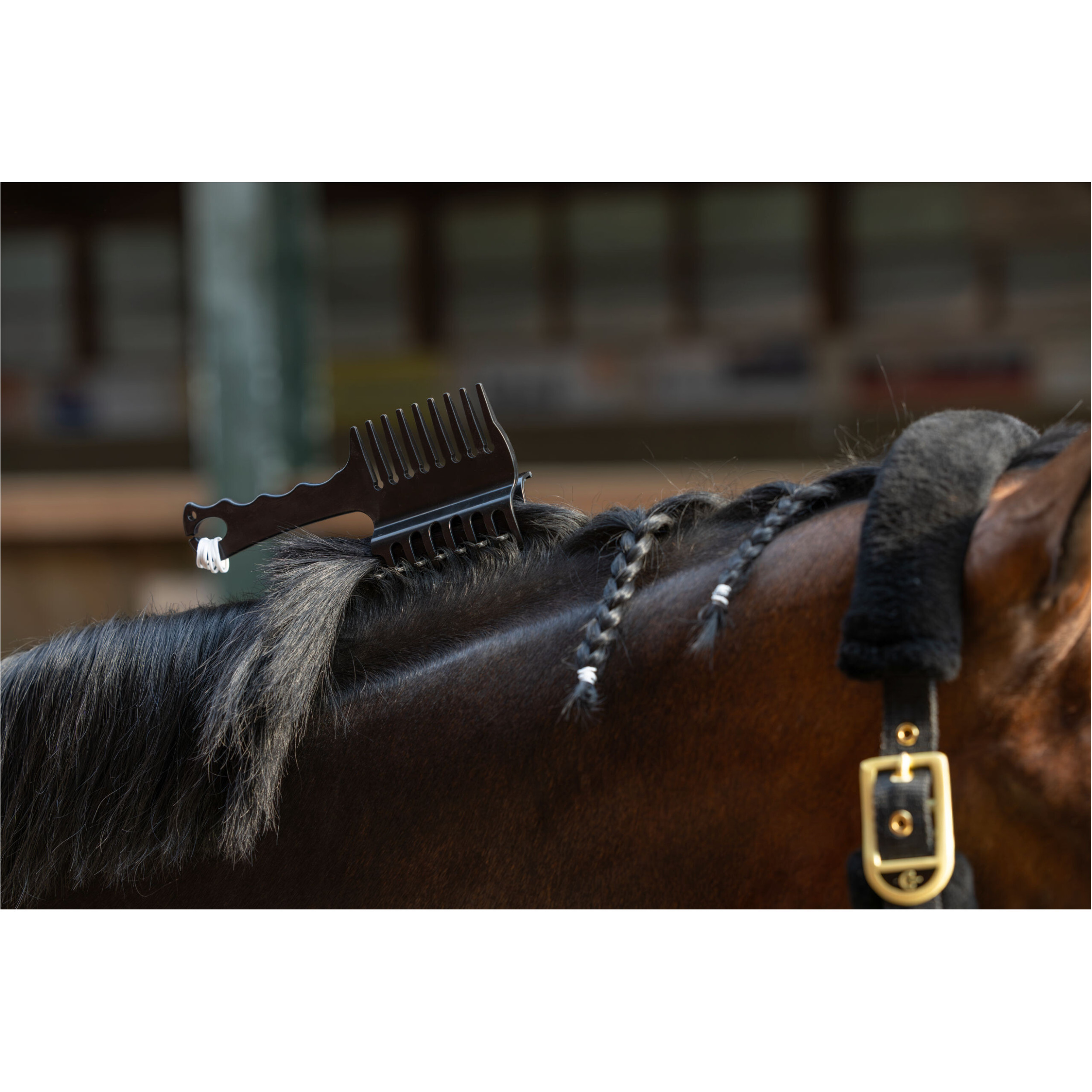 Mähnenkamm COMPETITION schwarz Mähnenkamm COMPETITION schwarz