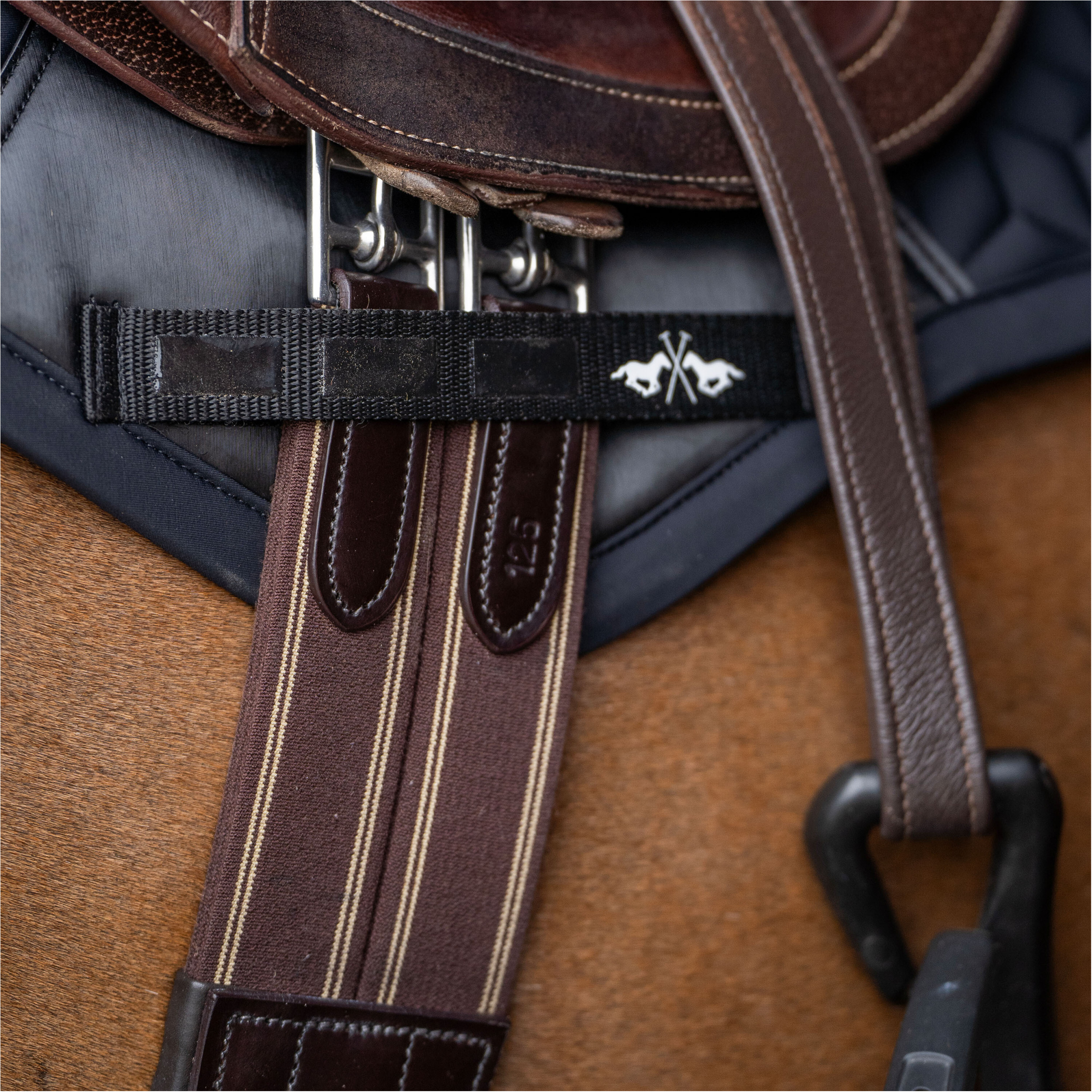 Stollenschutzgurt HVPLegacy chocolate brown