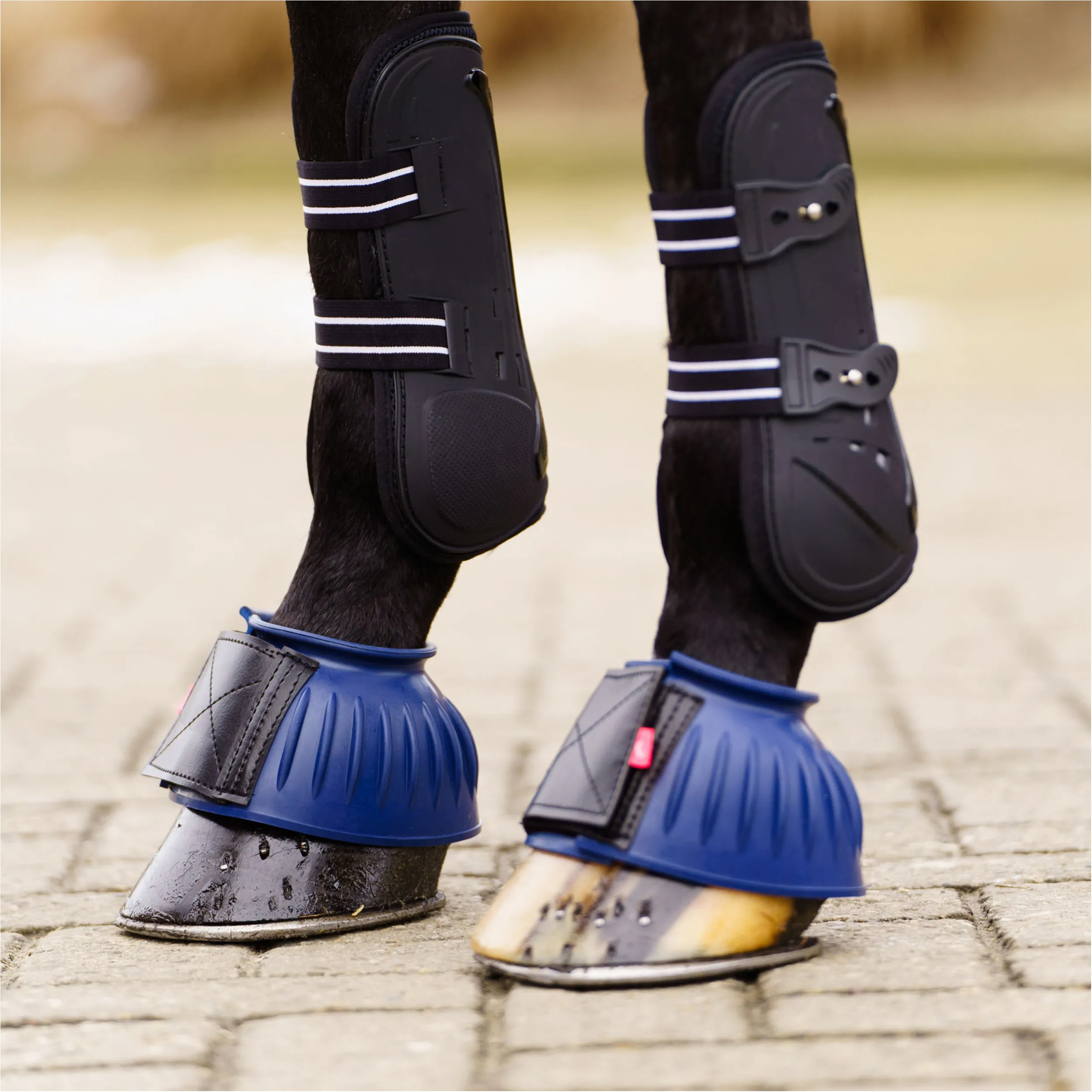 Hufglocken IRHBells royal blau