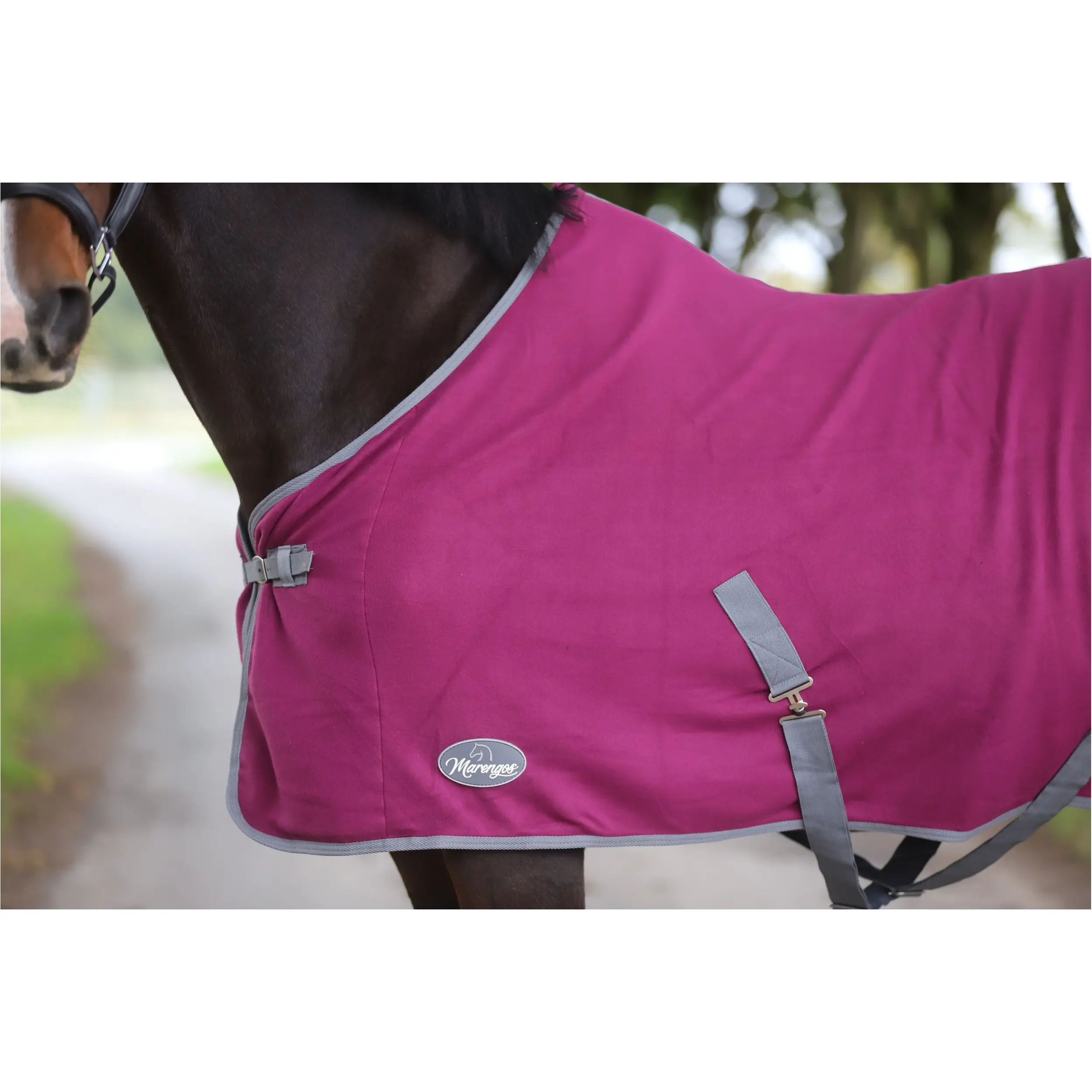 Abschwitzdecke mit Kreuzgurt (abnehmbar) ECONOMIC violett Abschwitzdecke mit Kreuzgurt (abnehmbar) ECONOMIC violett