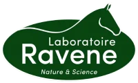 Ravene