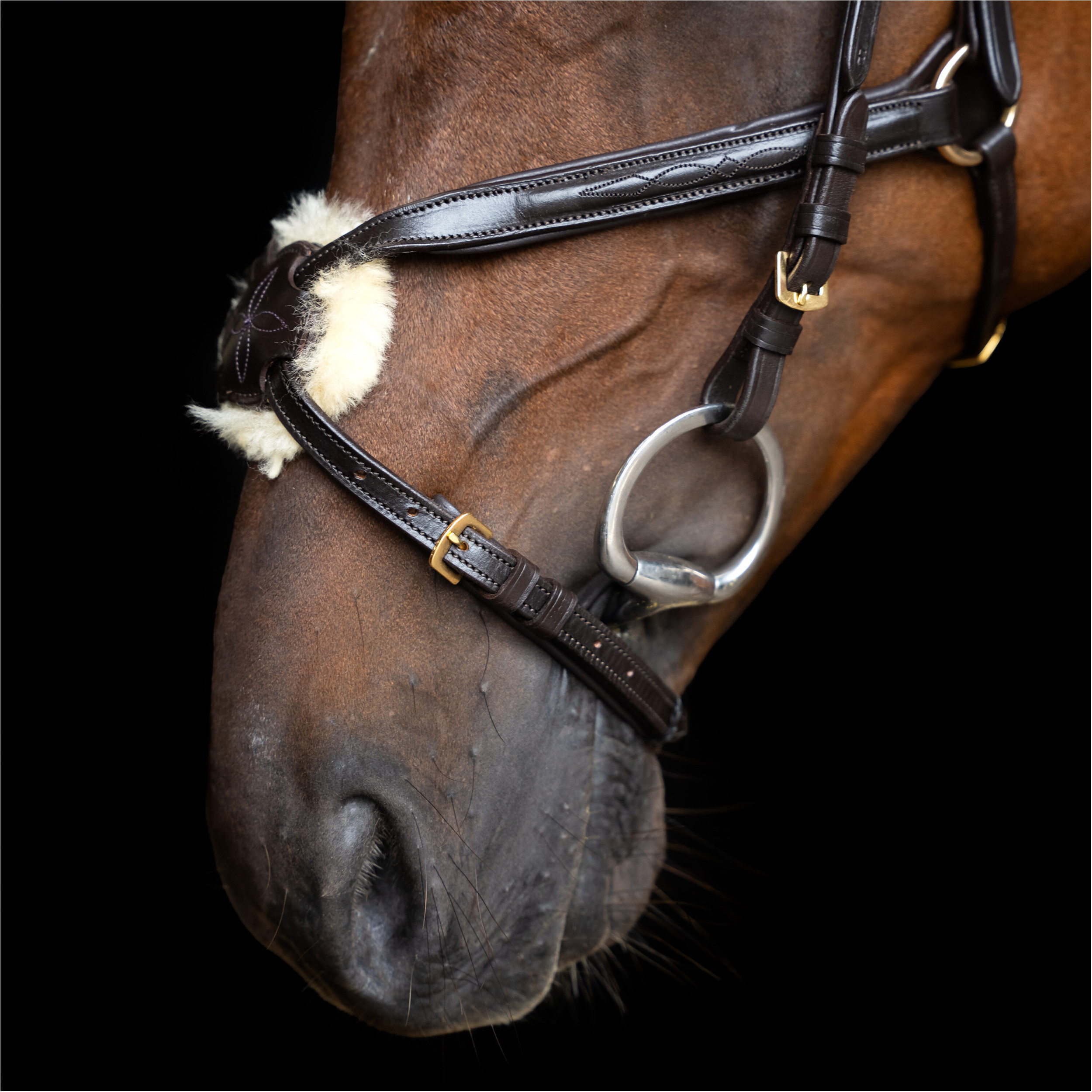 Mexikanisches Zaumzeug IRH dunkelbraun