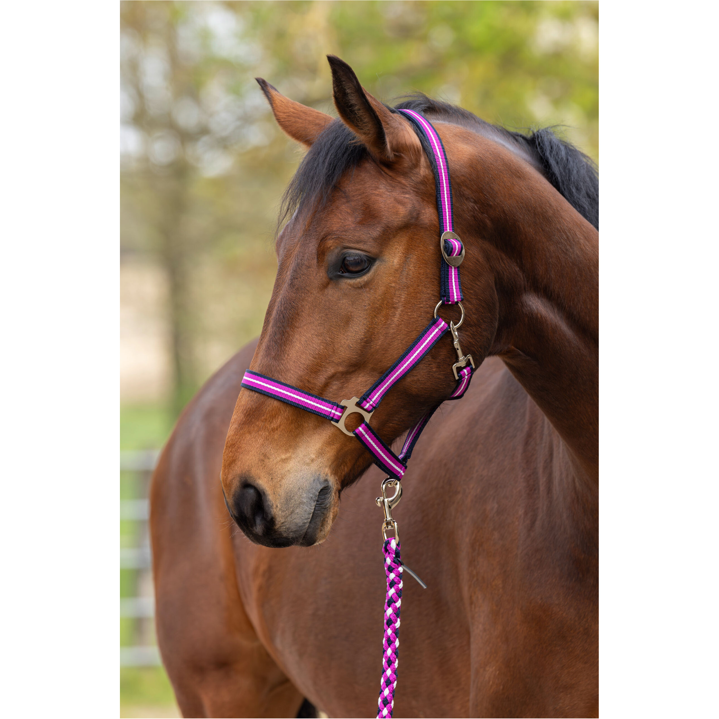 Führstrick mit Karabinerhaken HIPPO F/S 2026 dark navy/light berry