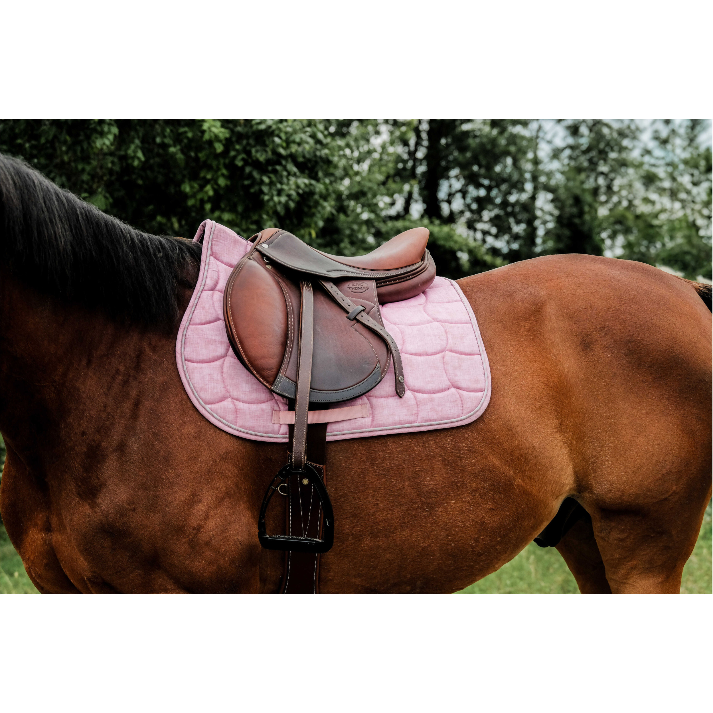 Schabracke SUNSHINE rosa Warmblut Vielseitigkeit