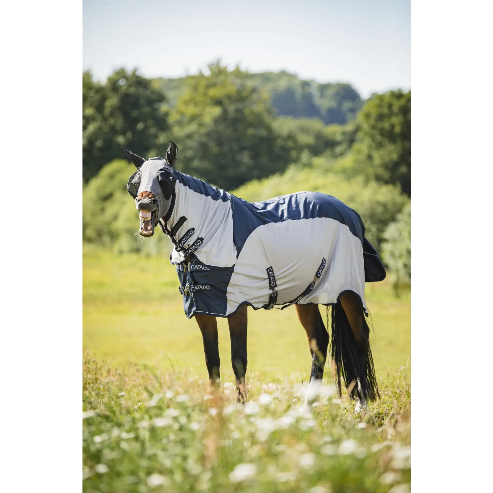 Regen- und Fliegendecke TAYLIN navy