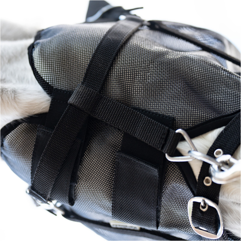 Fliegenmaske mit Bügel schwarz Fliegenmaske mit Bügel schwarz