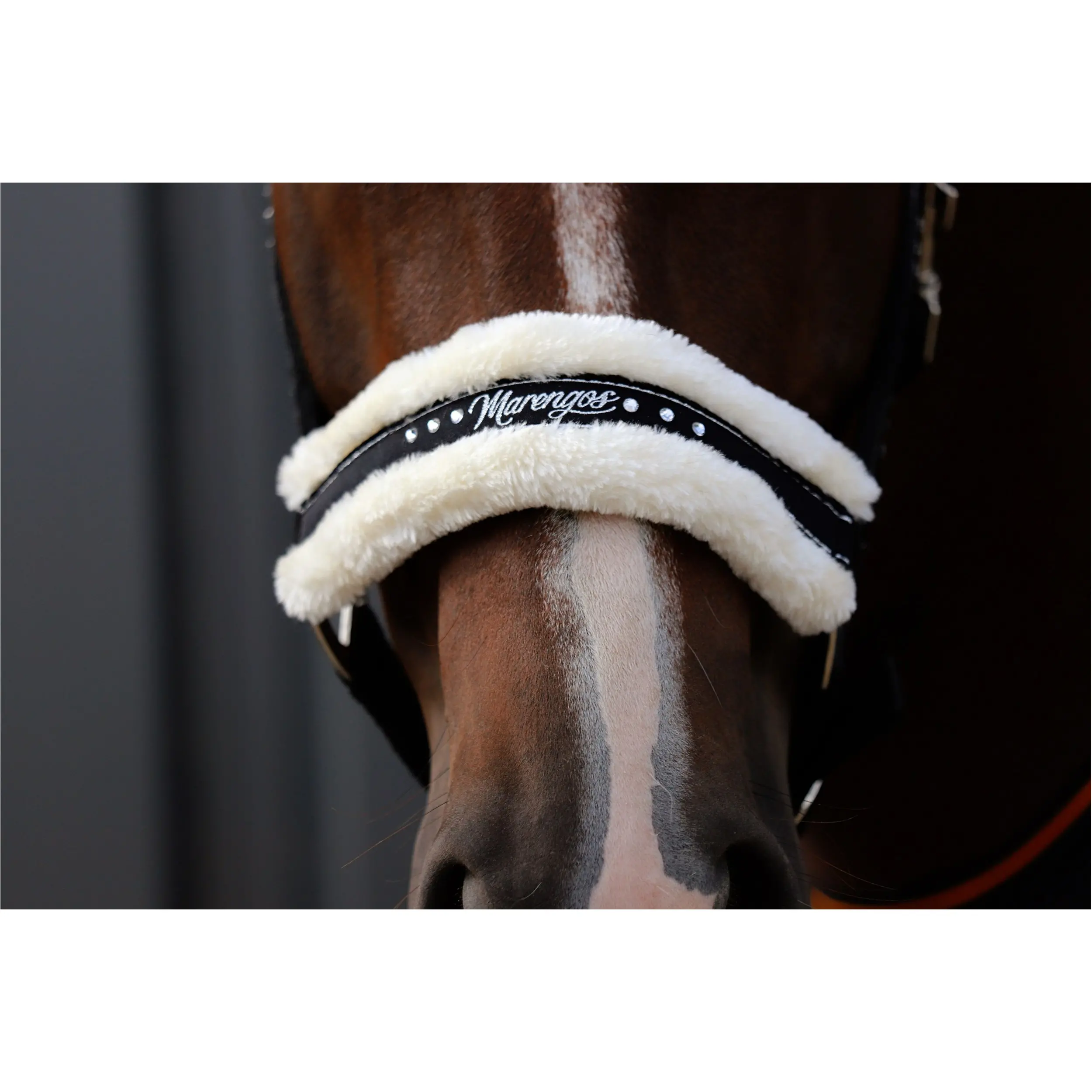 Halfter-Set mit Führstrick ELEGANT schwarz/silber Halfter-Set mit Führstrick ELEGANT schwarz/silber