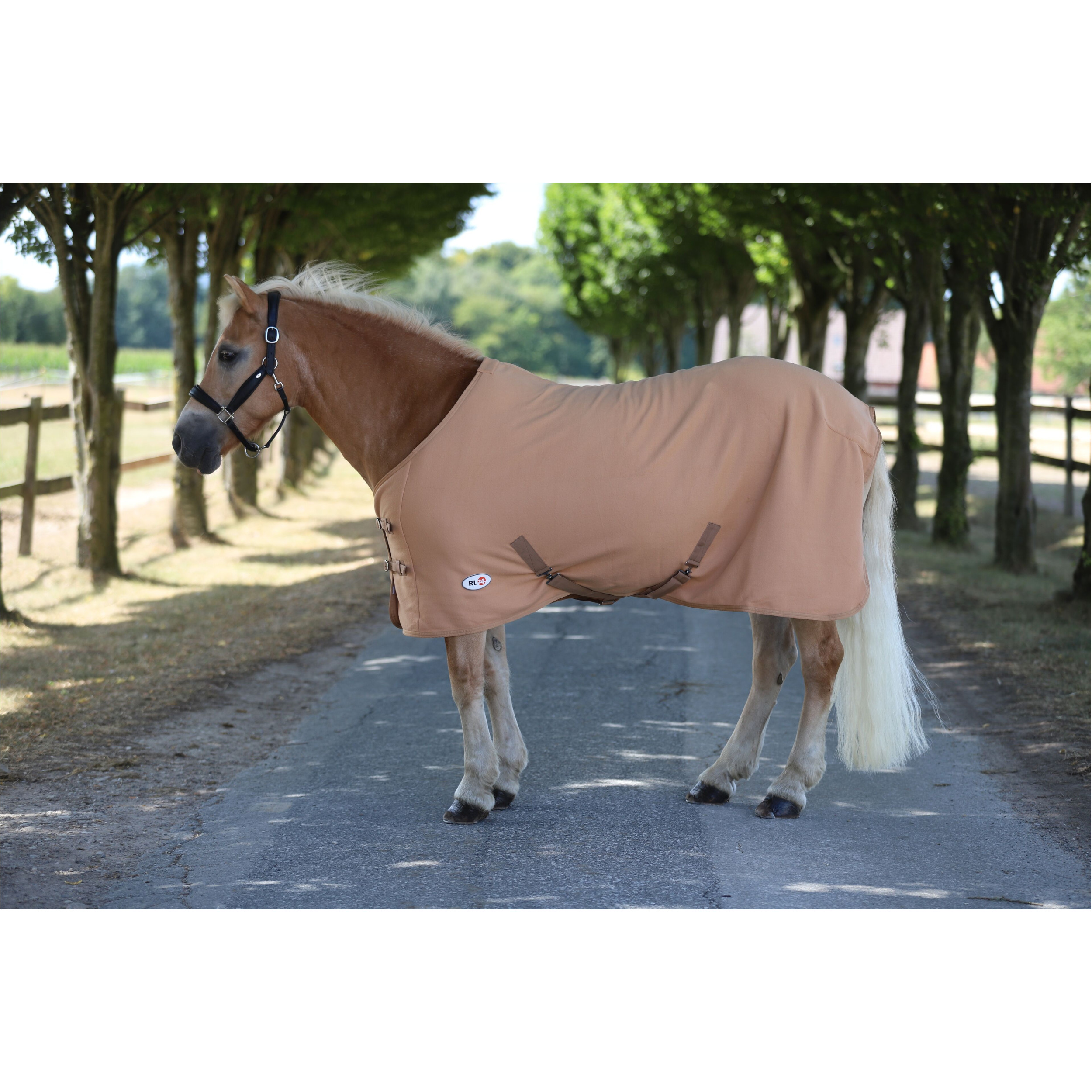 Abschwitzdecke mit Kreuzgurt BASICLINE hellbraun