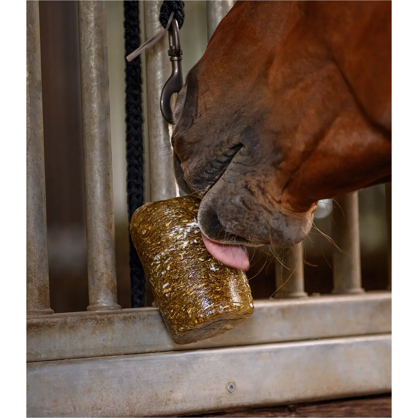 Leckstein StableSnack Kräuter 1000g