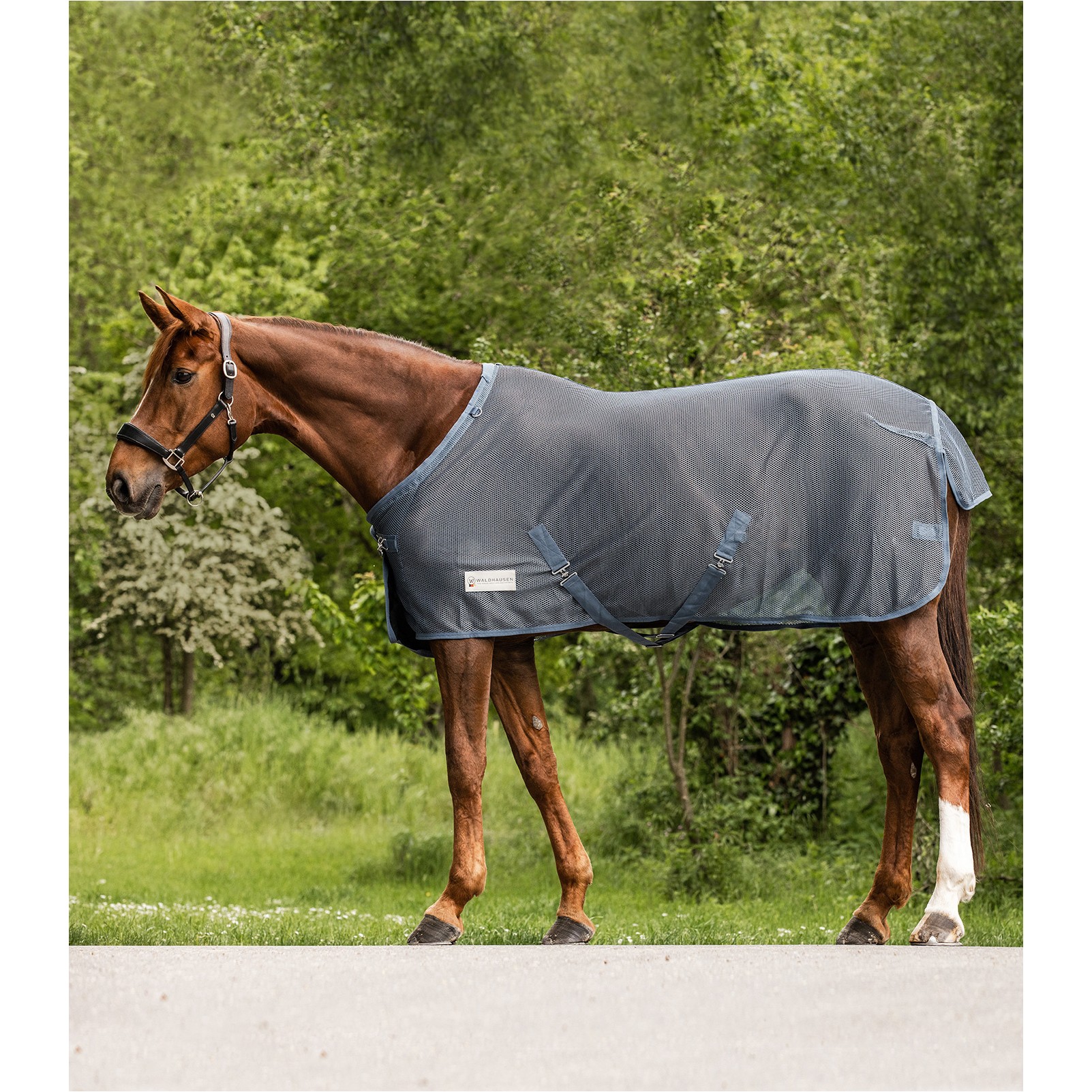 Fliegendecke mit Kreuzgurten COMFORT kreideblau