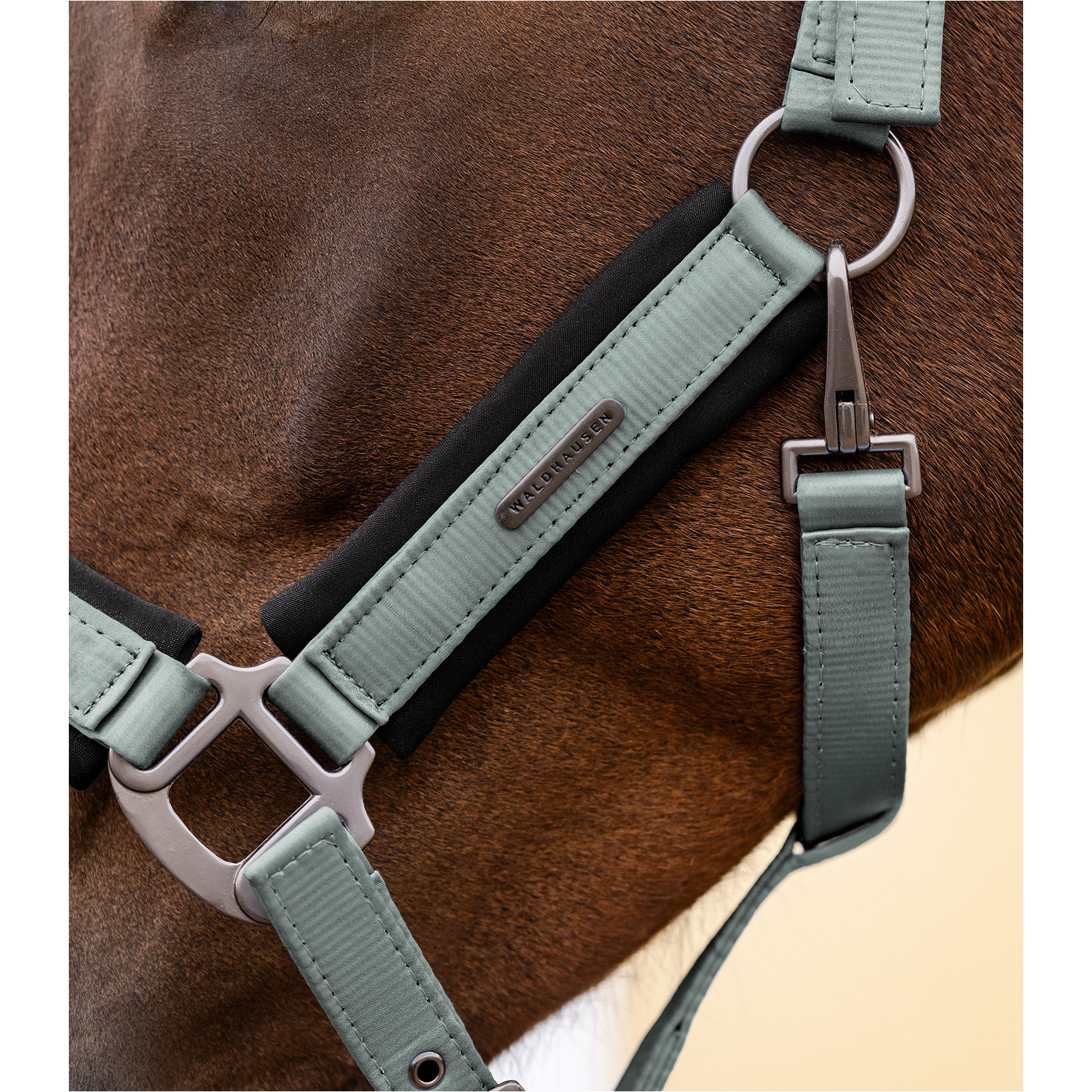 Halfter SOFT TOUCH silberblau Halfter SOFT TOUCH silberblau