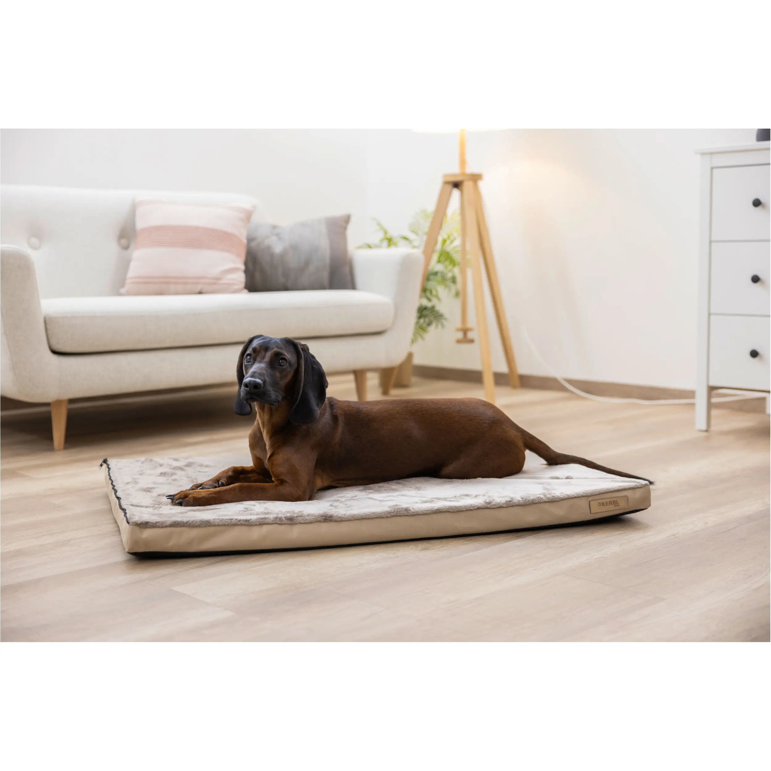 Multifunktionsmatratze beige/braun