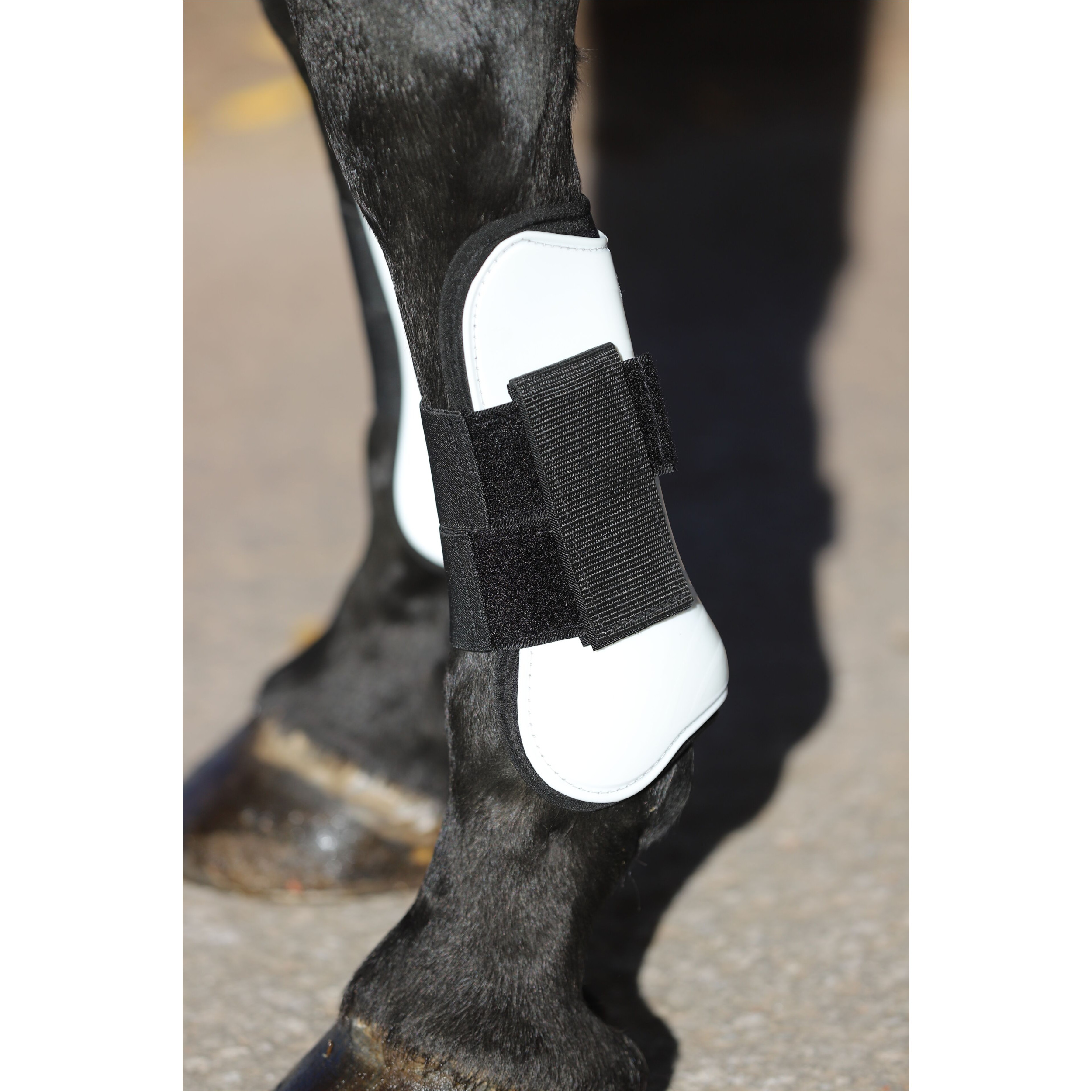 Gamaschen & Streichkappen (4er Set) weiß