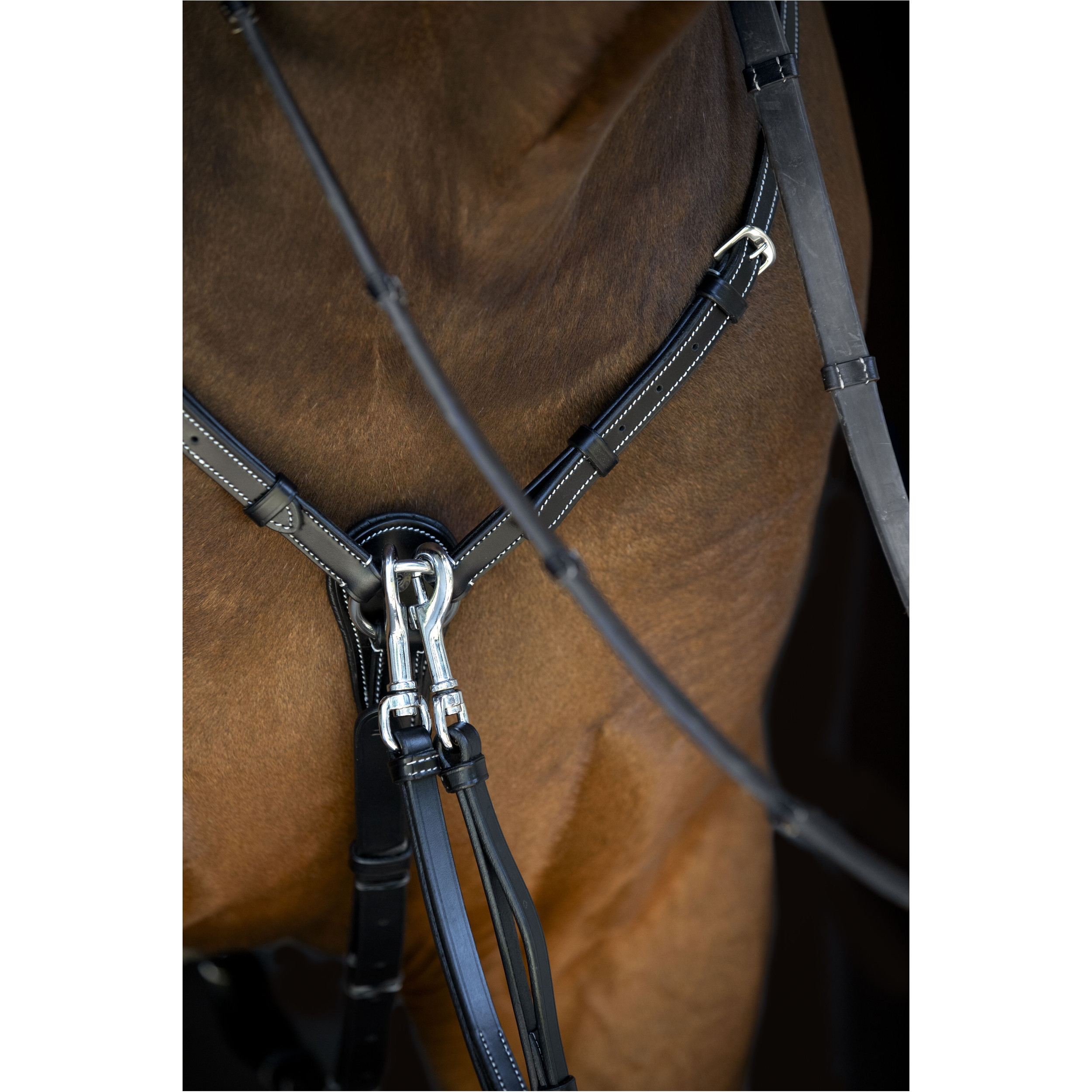 Vorderzeug mit abnehmbarem Martingal schwarz