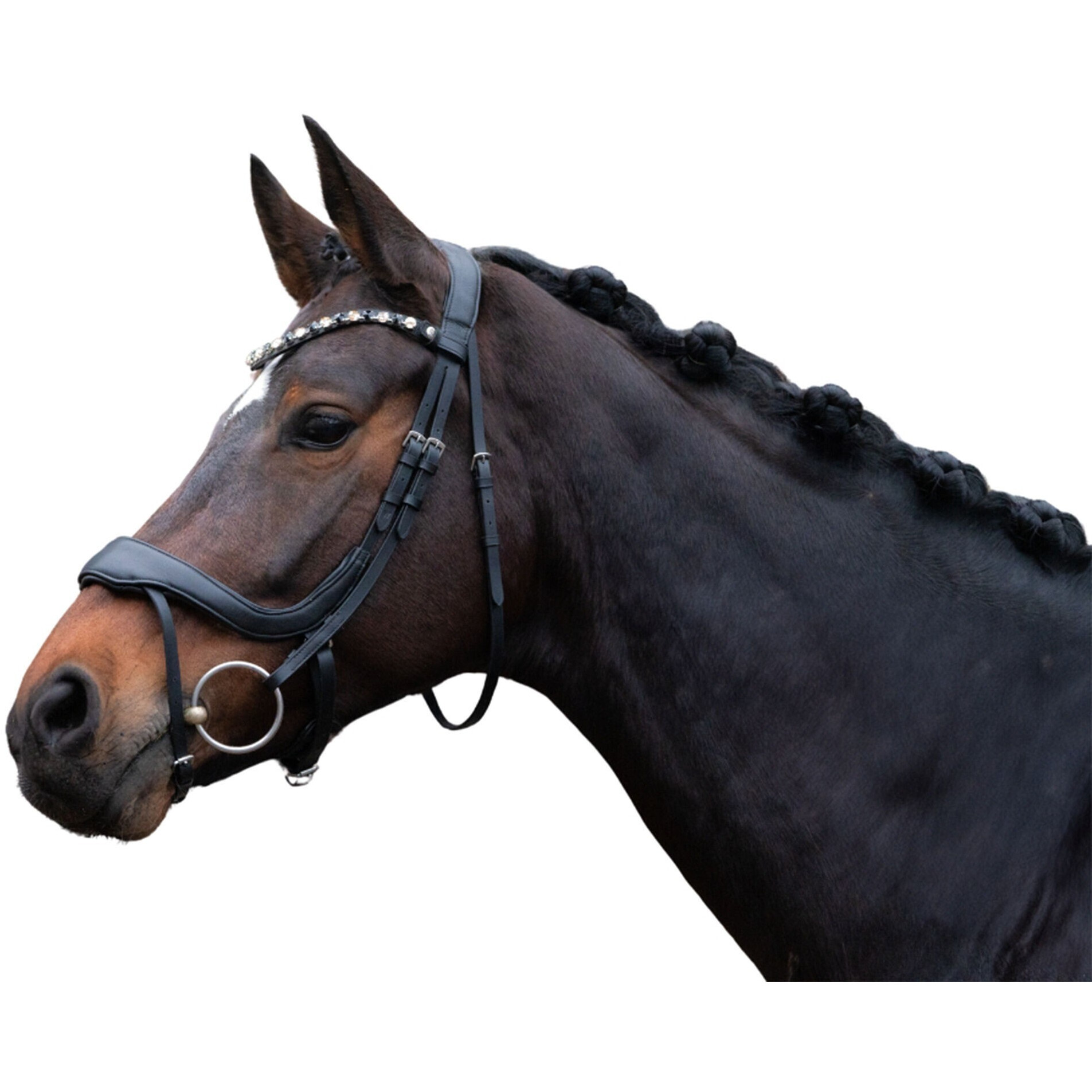 Trensenzaum anatomisch mit schwedischem Reithalfter MILA schwarz Trensenzaum anatomisch mit schwedischem Reithalfter MILA schwarz